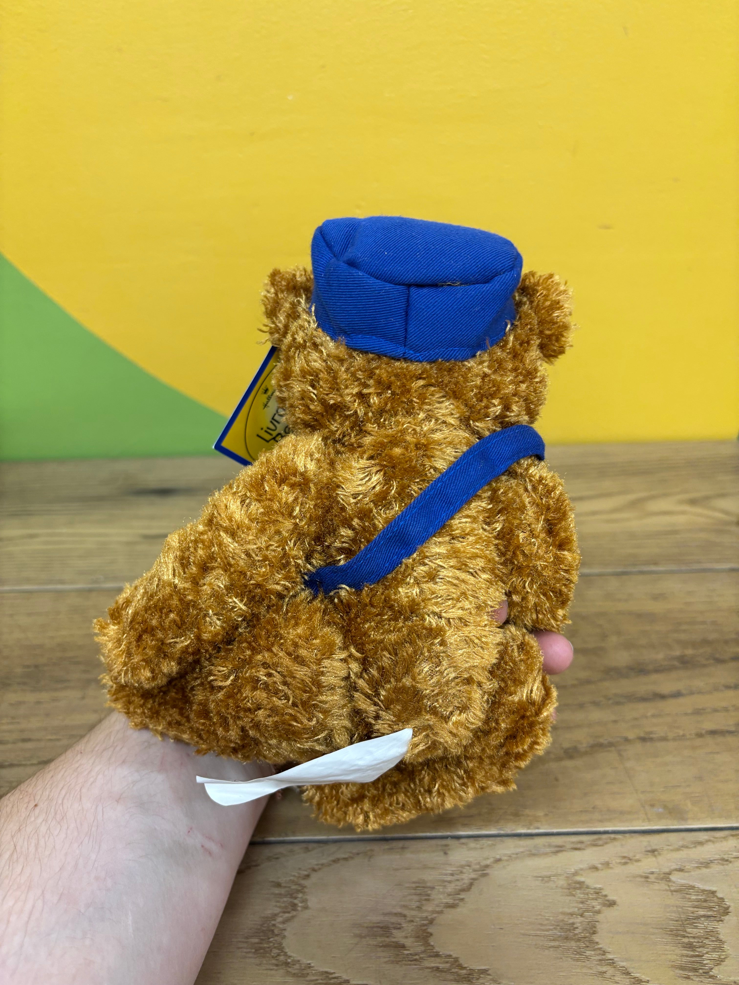 Hallmark Canada Post Bear Mail Plush
