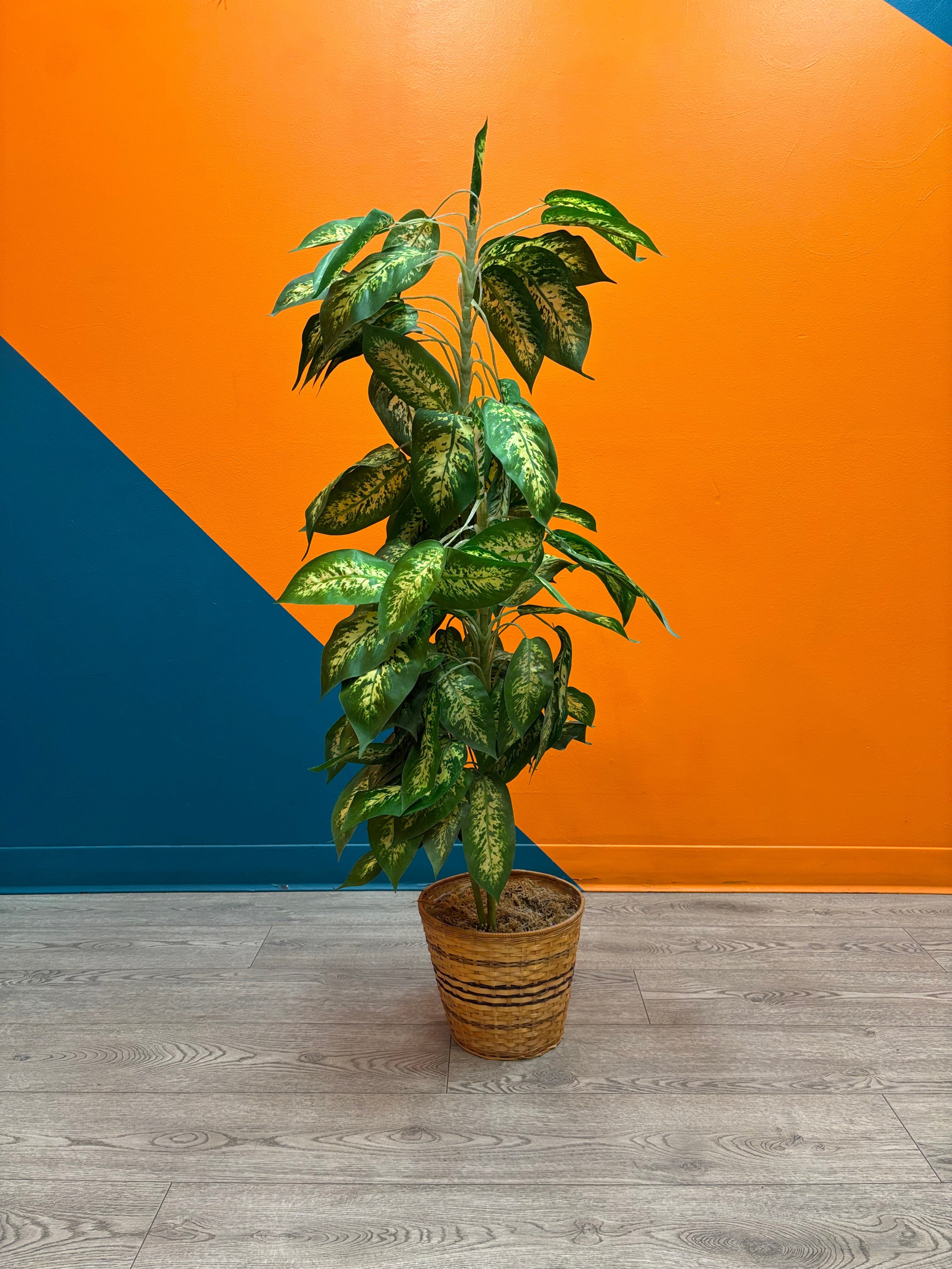 Taller Artificial Plant in Basket