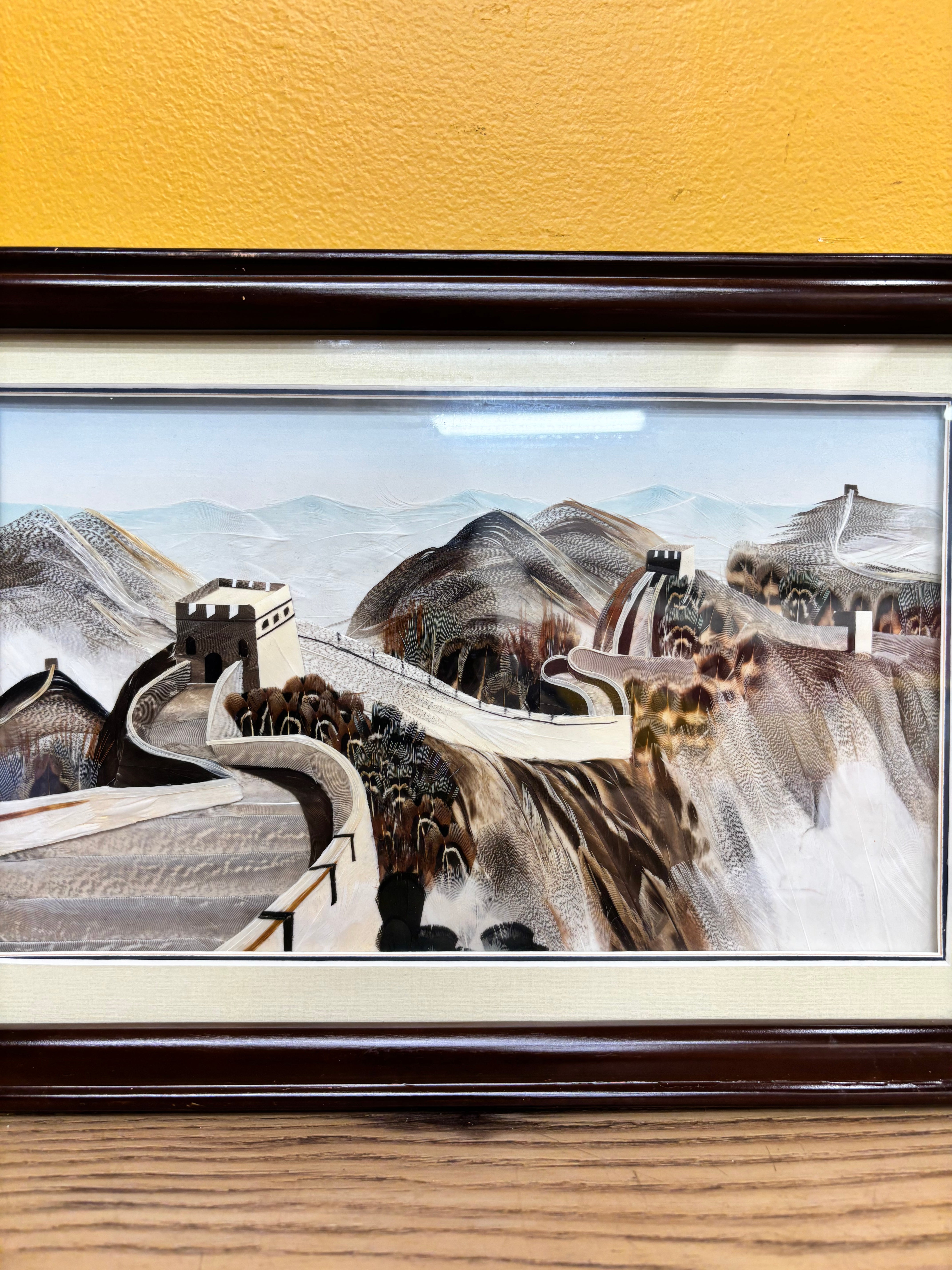 Framed Feather Artwork