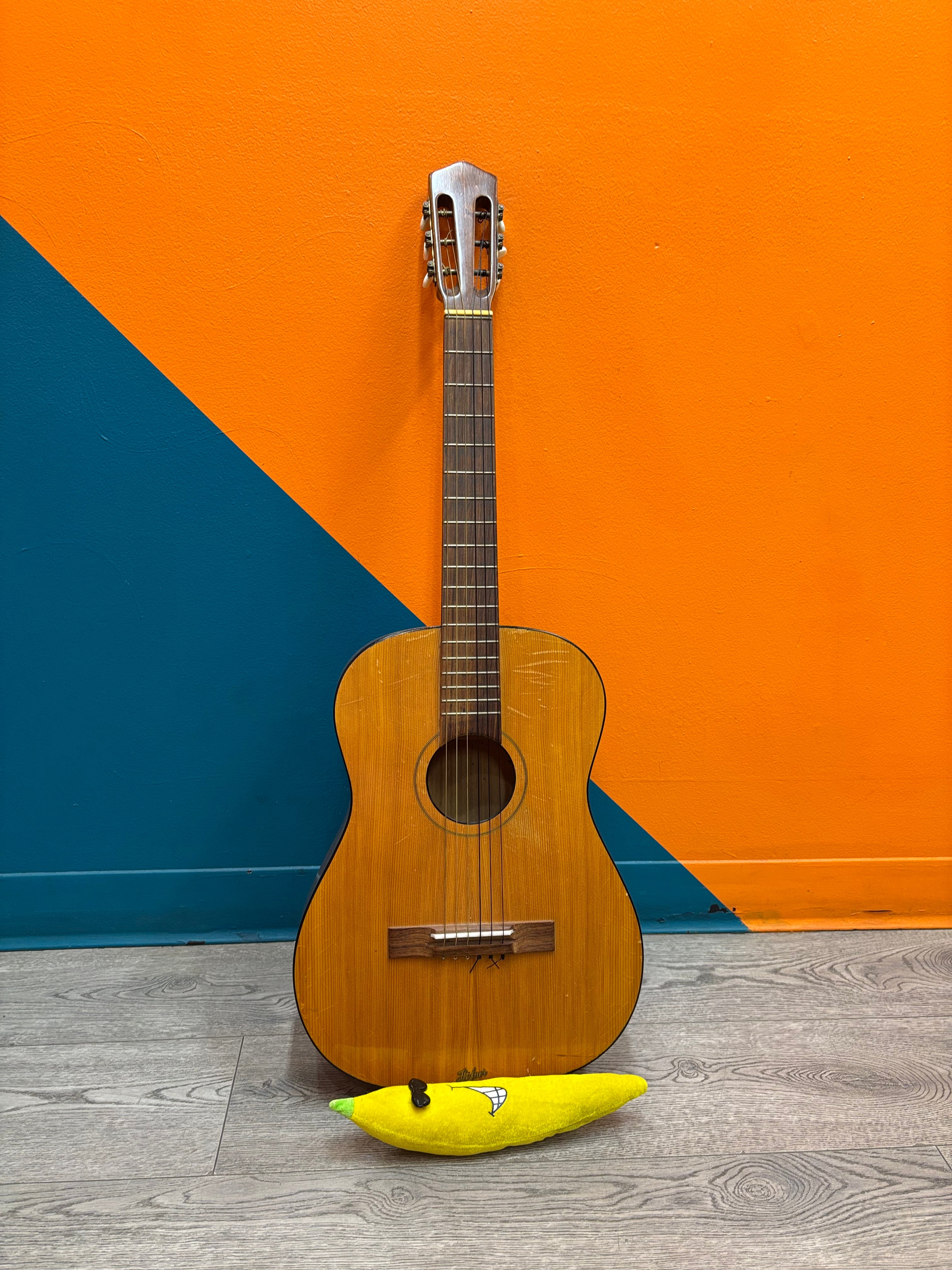 Hofner Acoustic Guitar