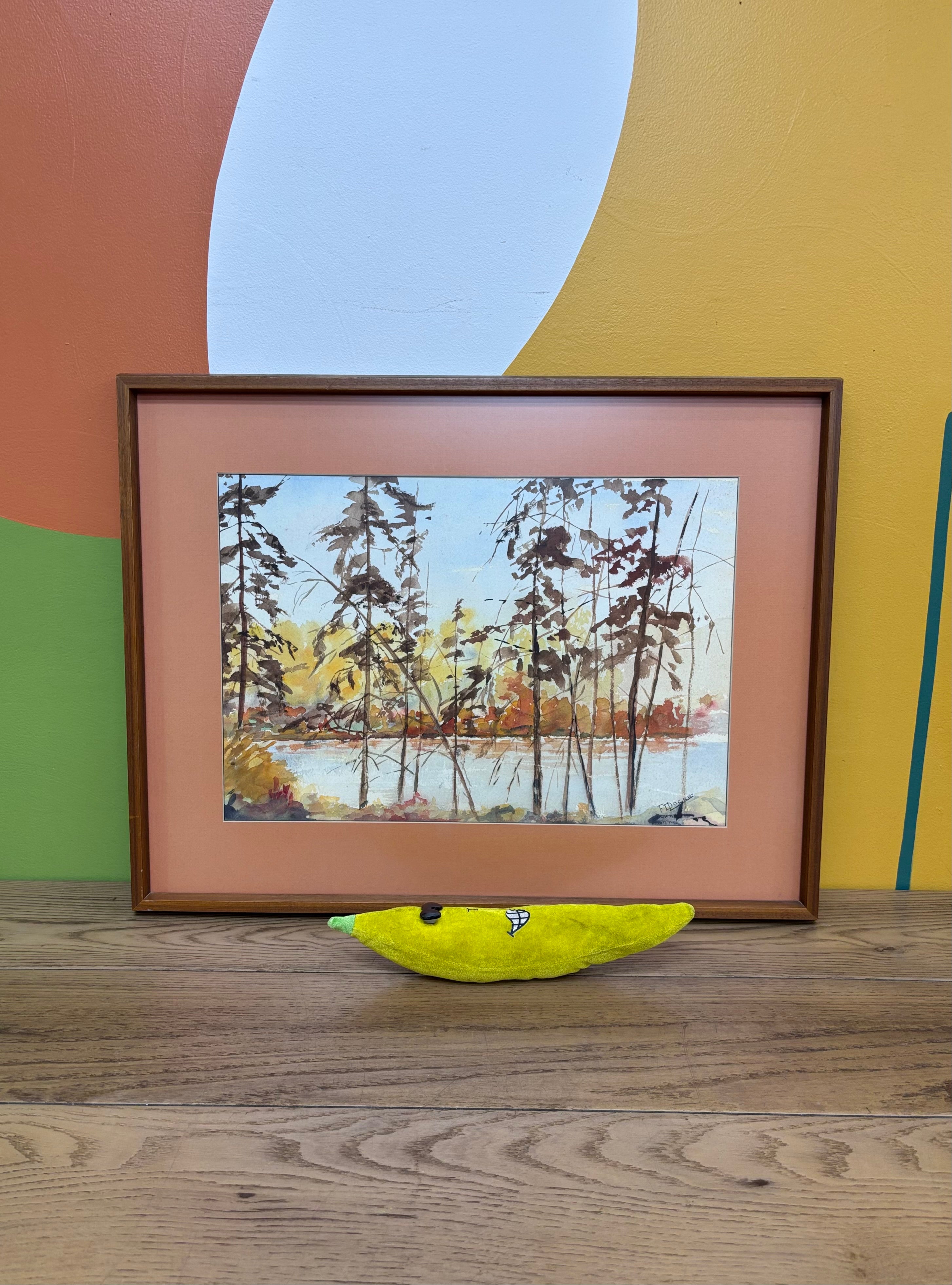 Framed Landscape Print