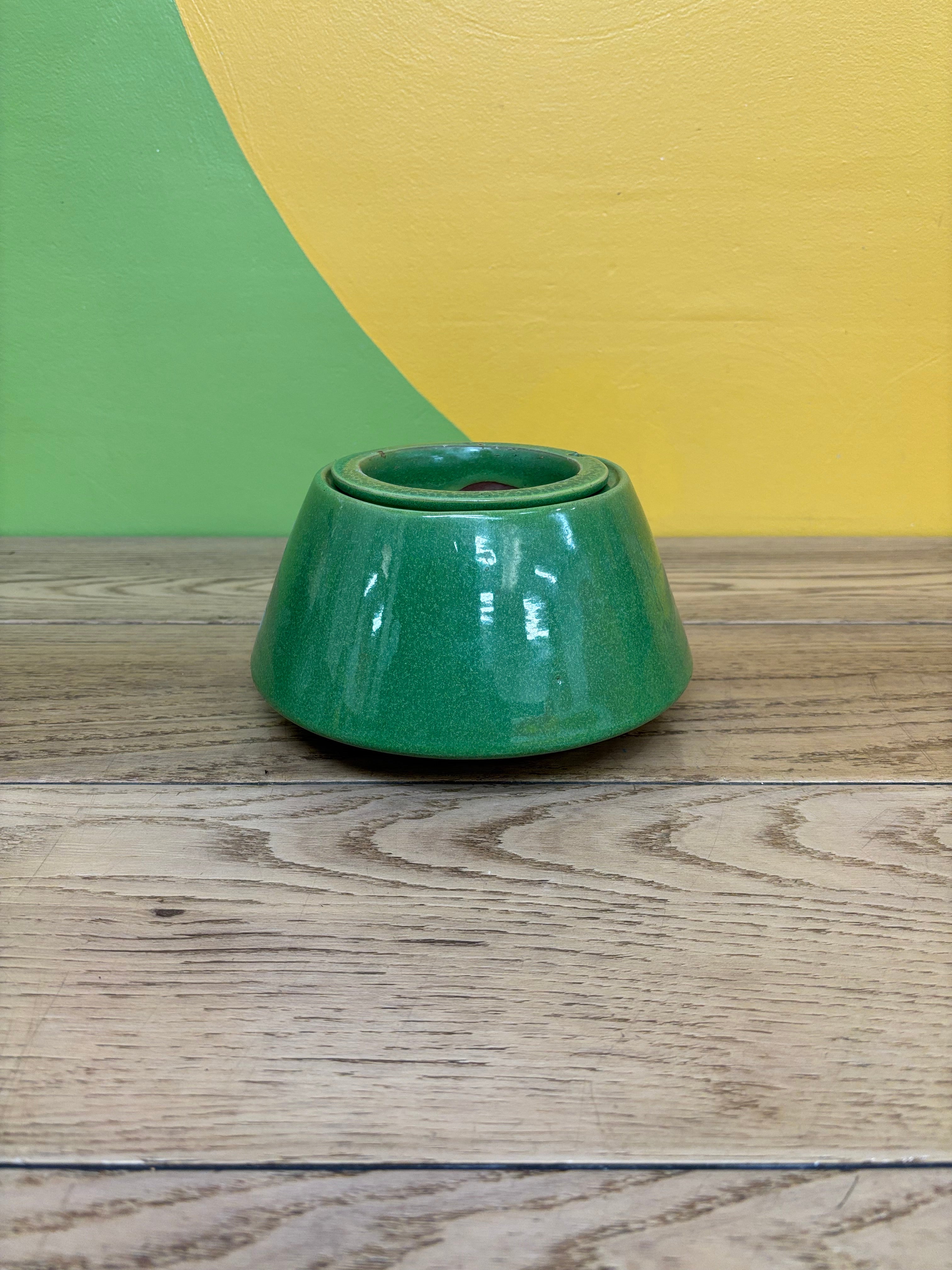 Green Self Watering Pot