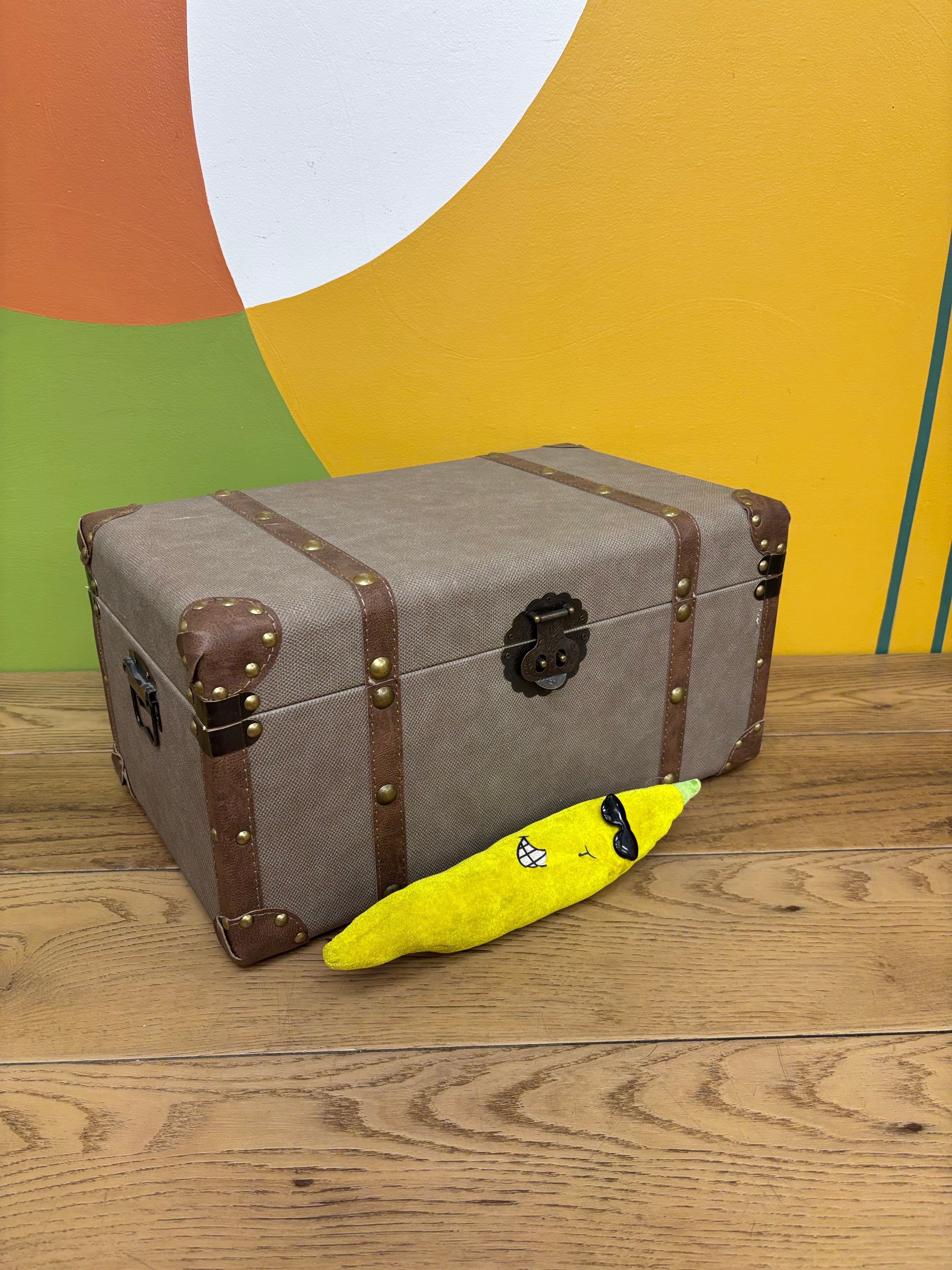 Small Storage Trunk