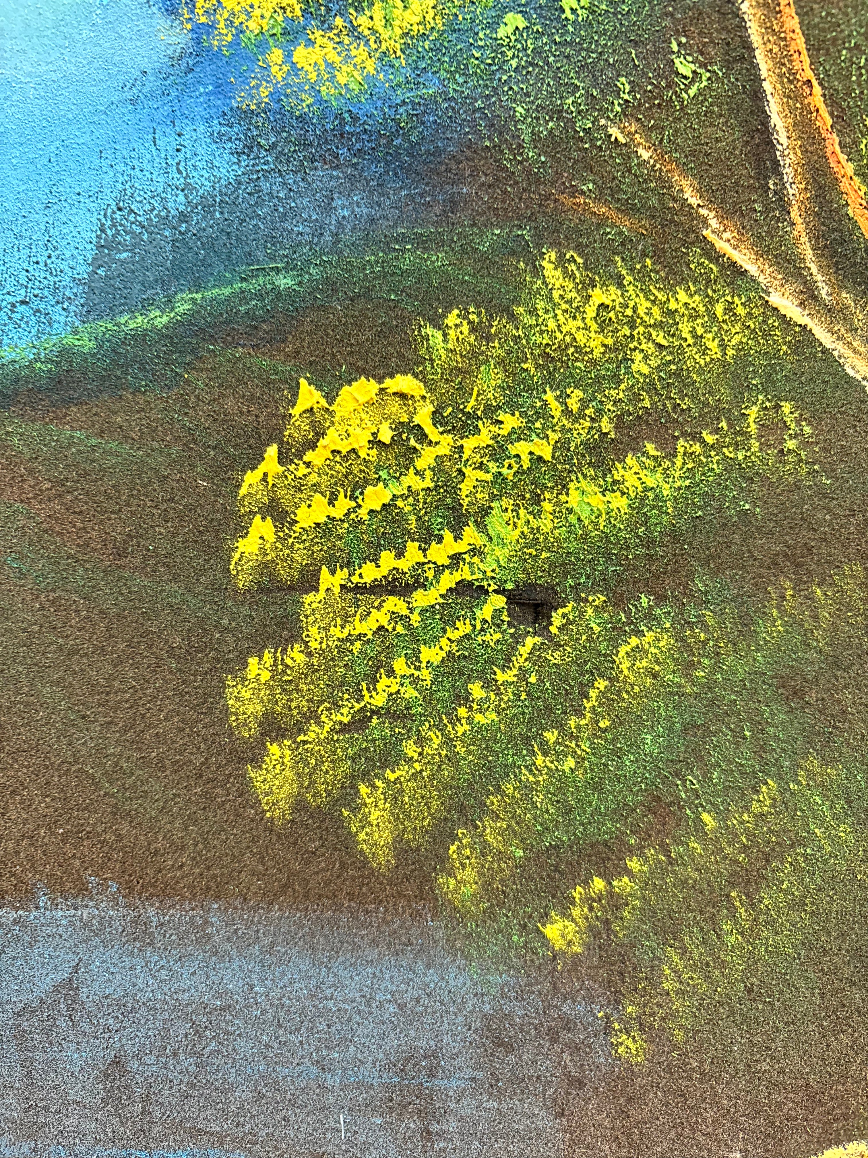 Large Framed Velvet Painting