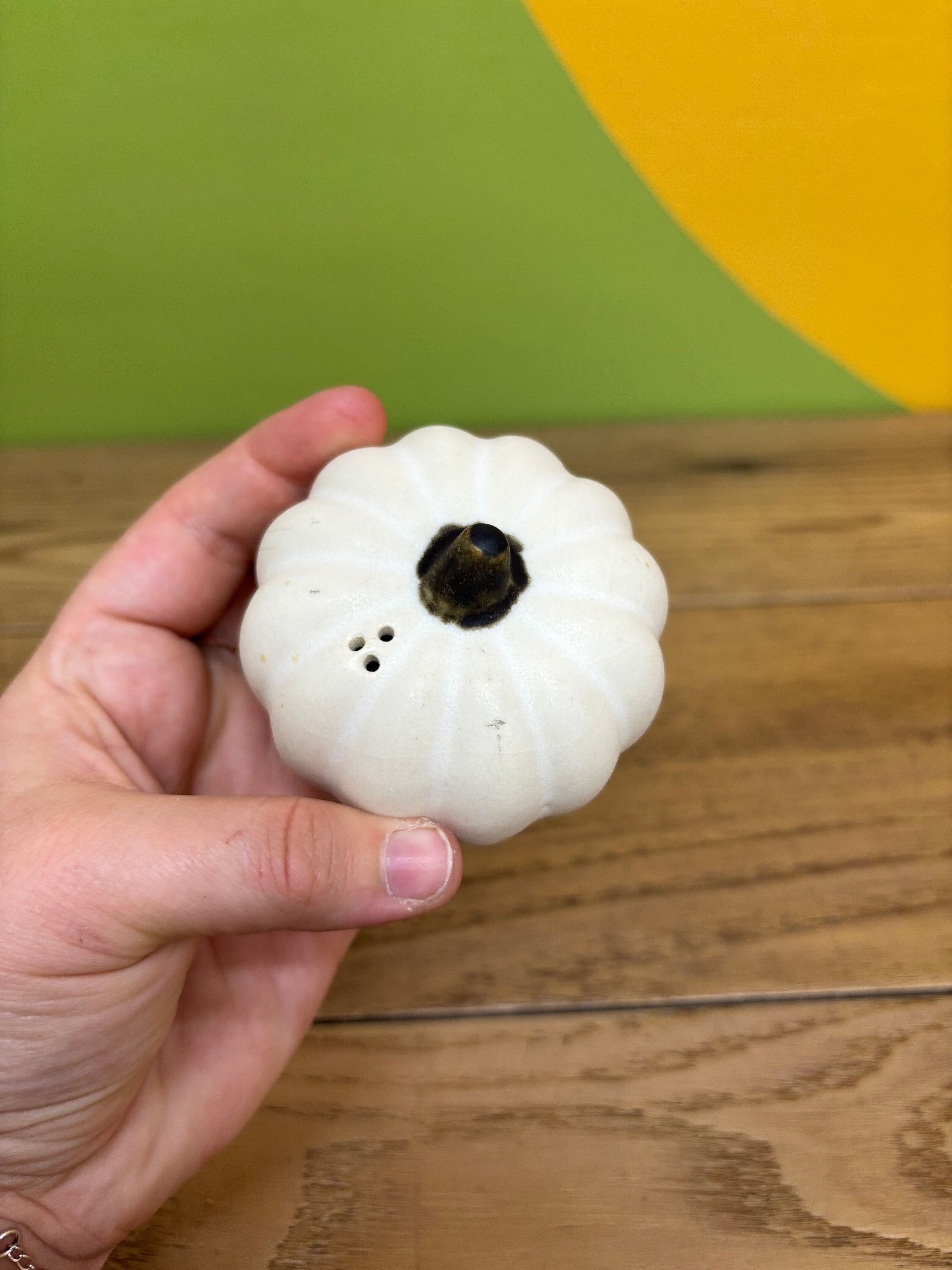 Pumpkin Salt & Pepper Shakers