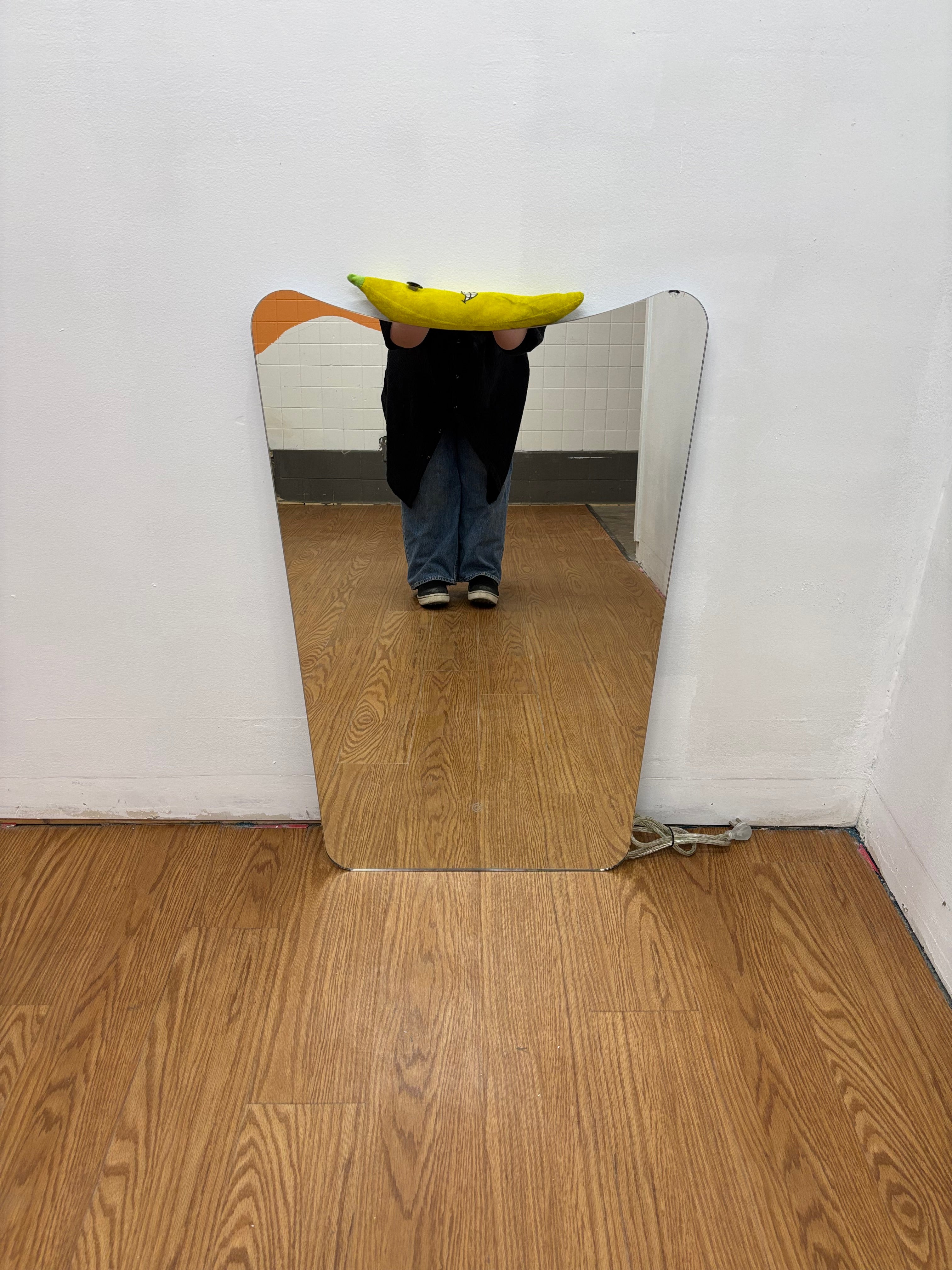 LED Backlit Mirror #1