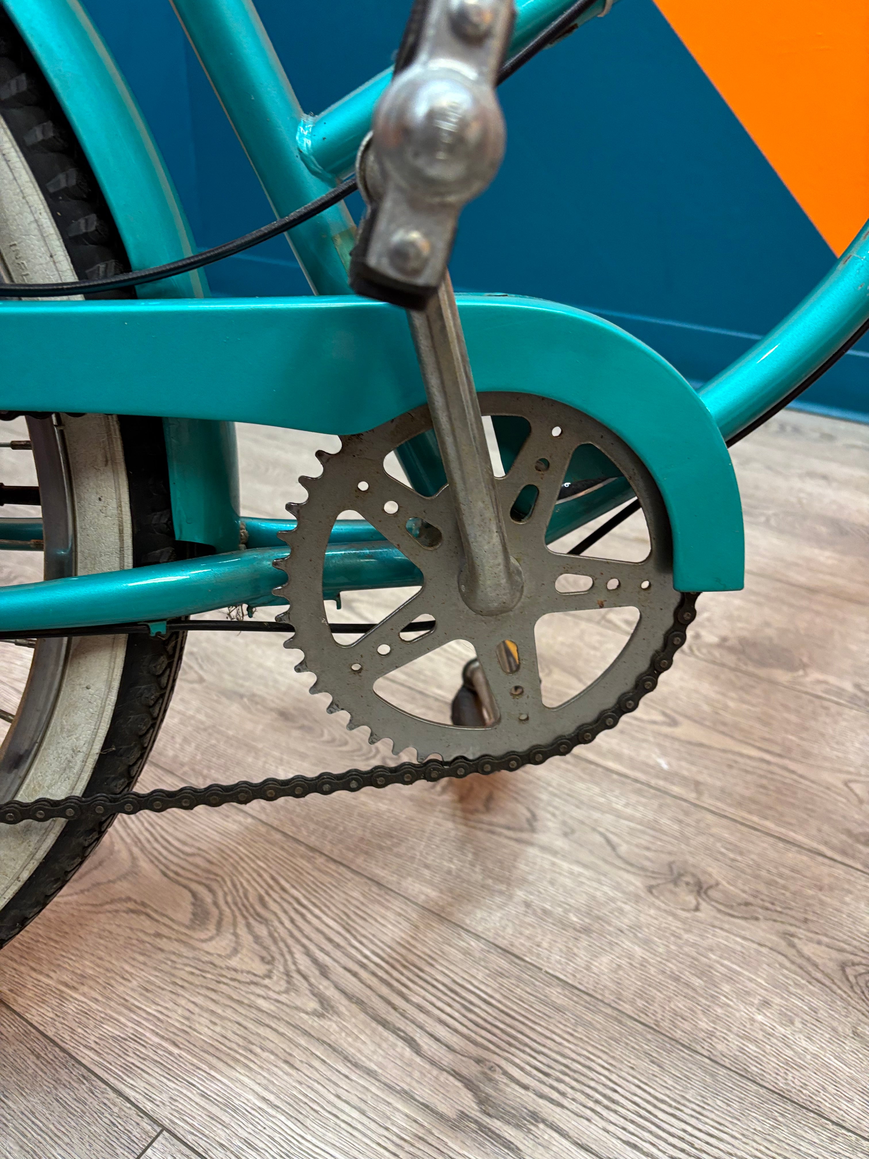 Turquoise Cruiser Collection Pro Bicycle