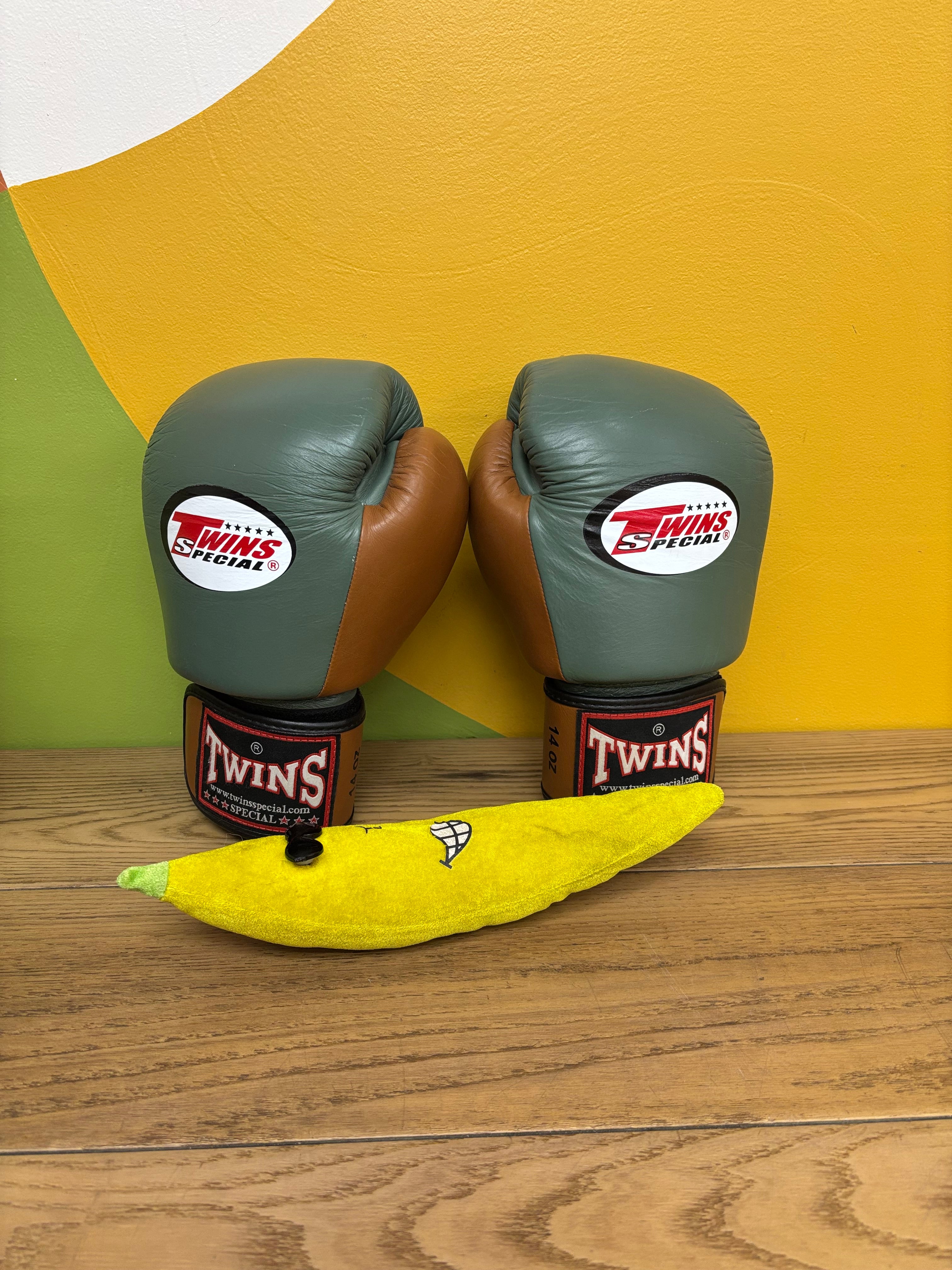 Twins Special Boxing Gloves