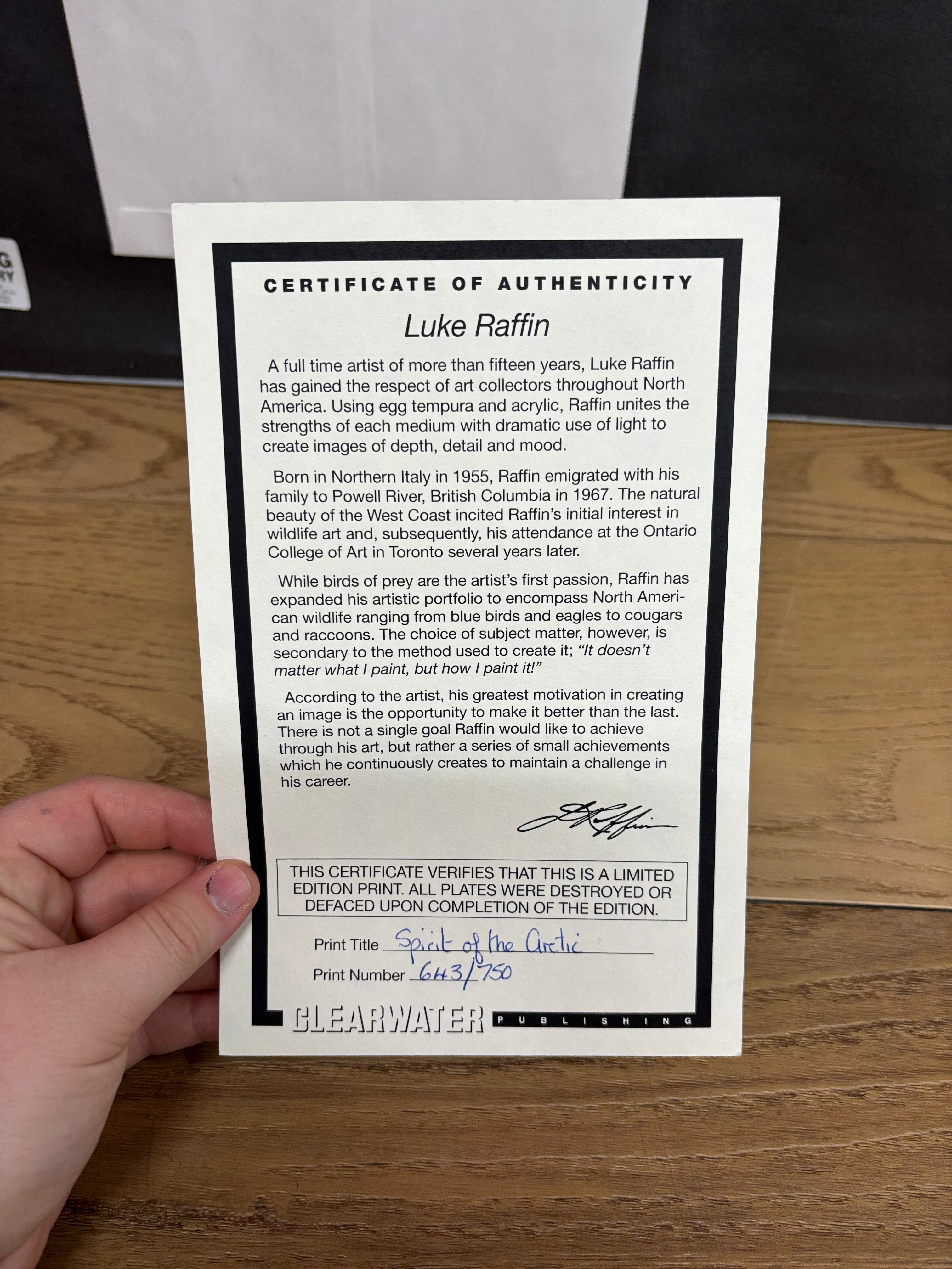 Framed Spirit of the Artic Print by Luke Raffin