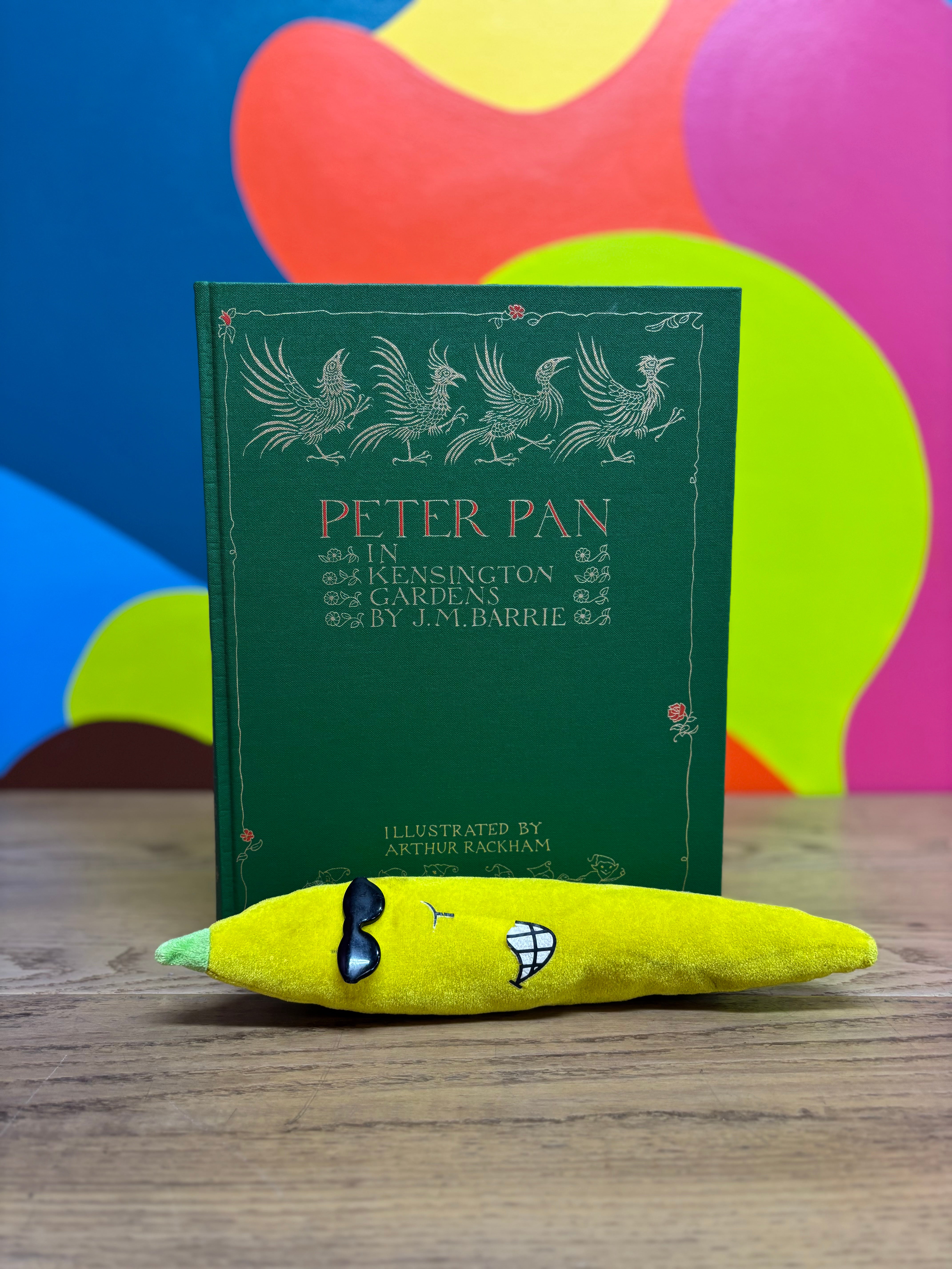 Folio Peter Pan in Kensington Gardens Book