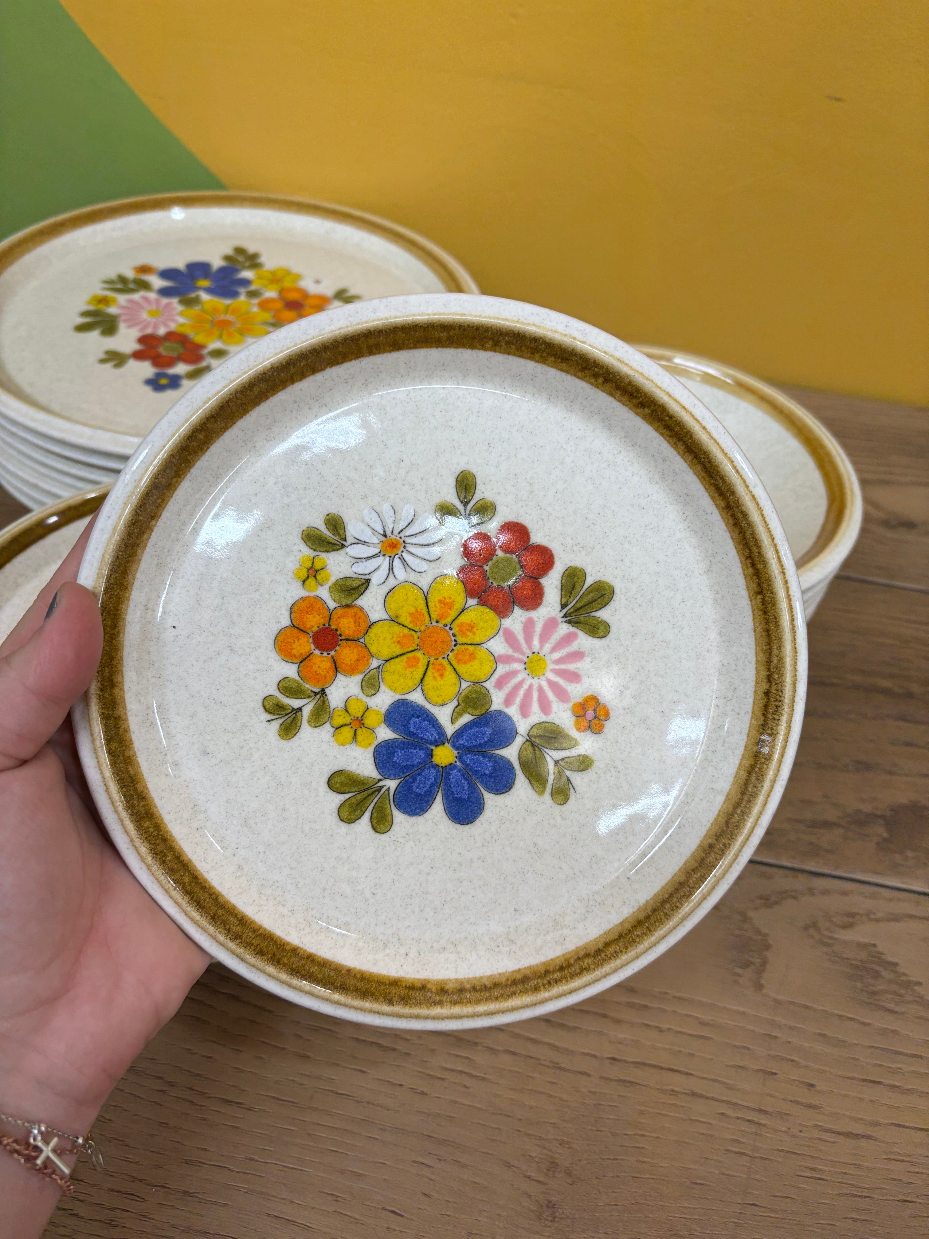 Mikasa Stone Manor Floribunda Plates & Bowls Bundle