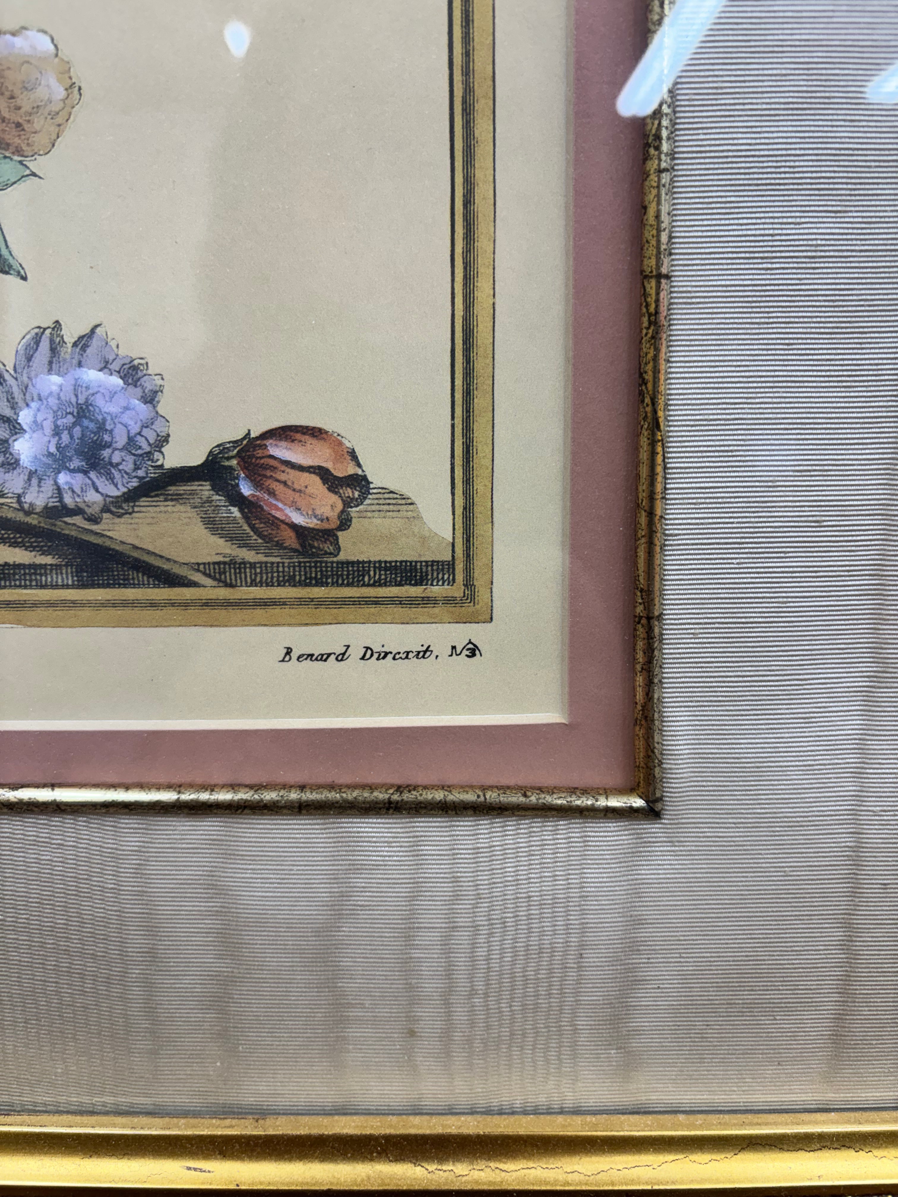 Gold Framed Botanical Print