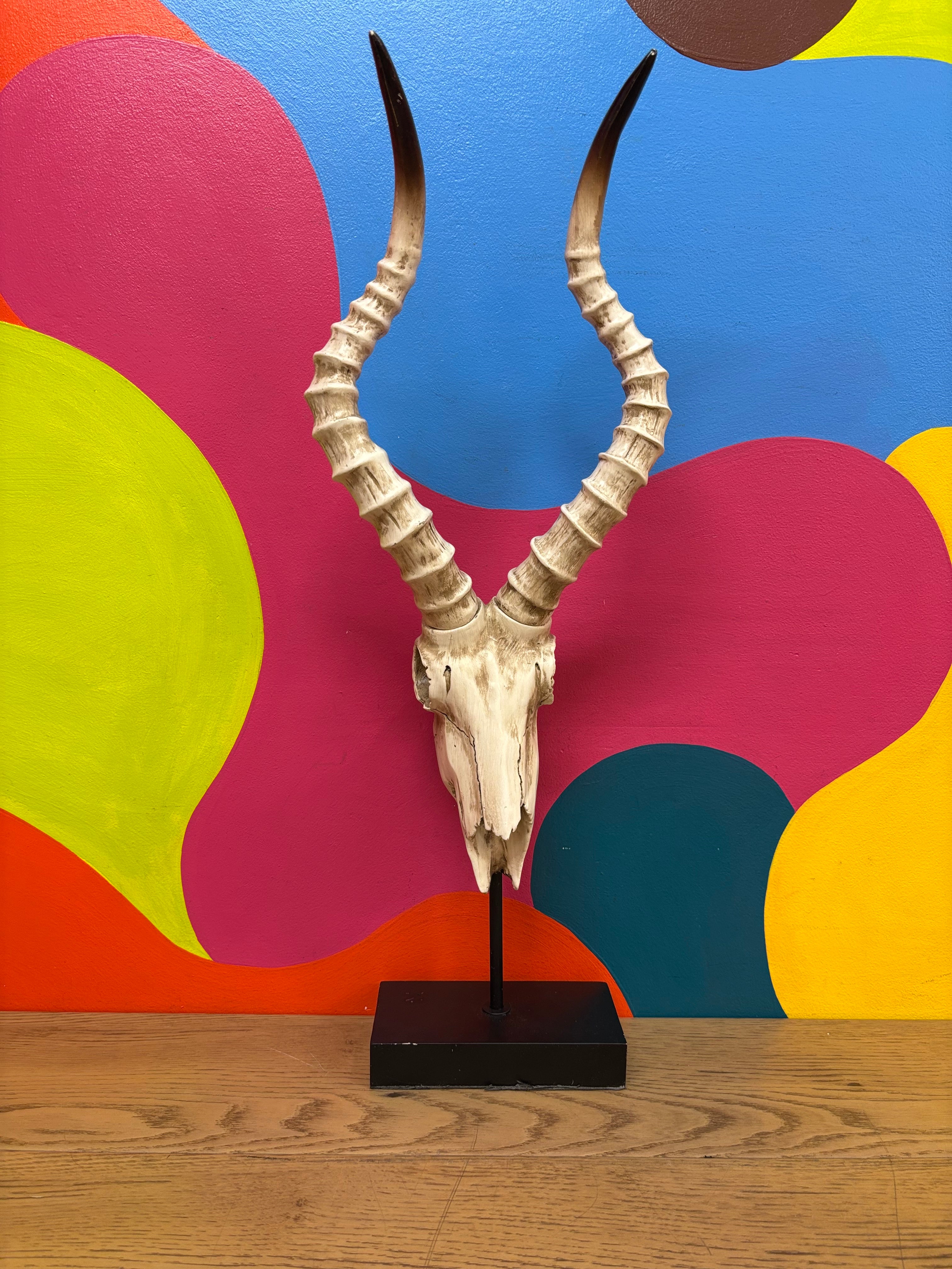 Long Horn Skull Decor