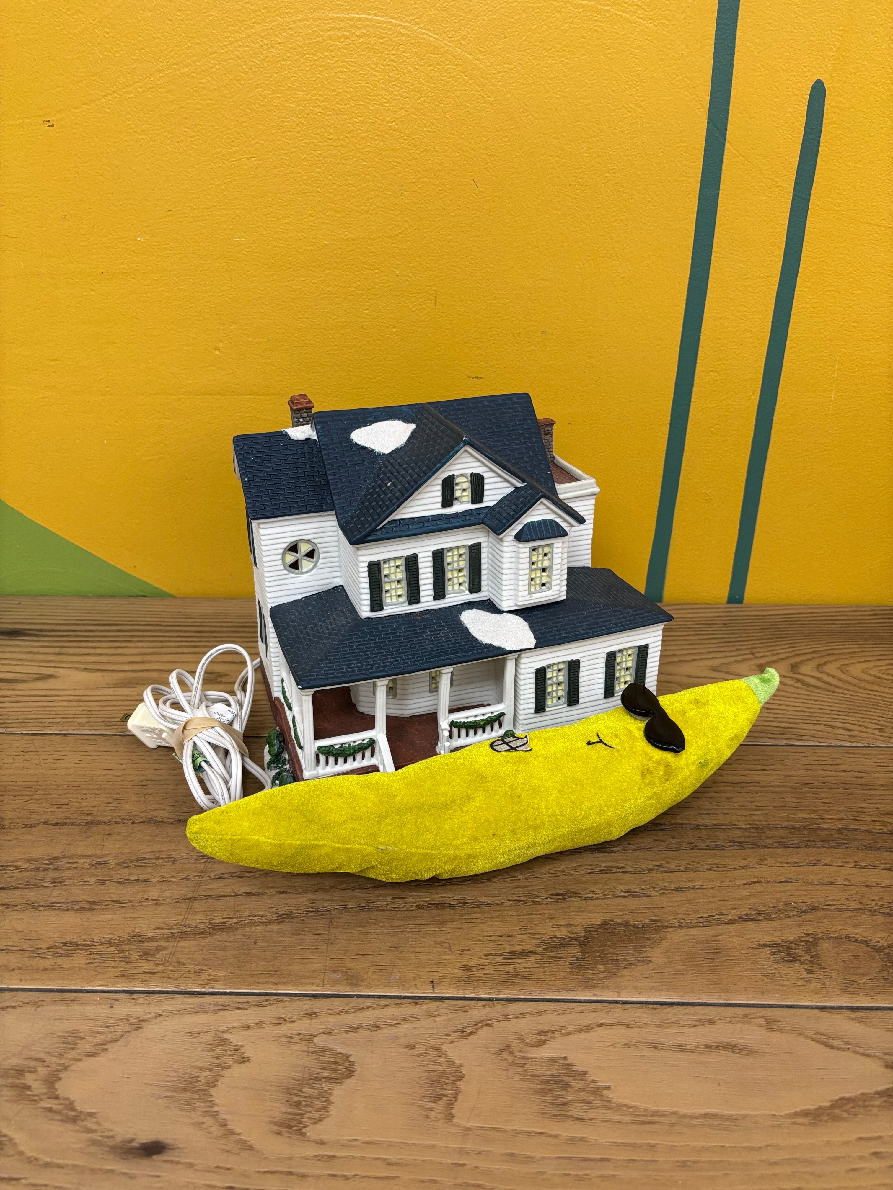 Light Up House
