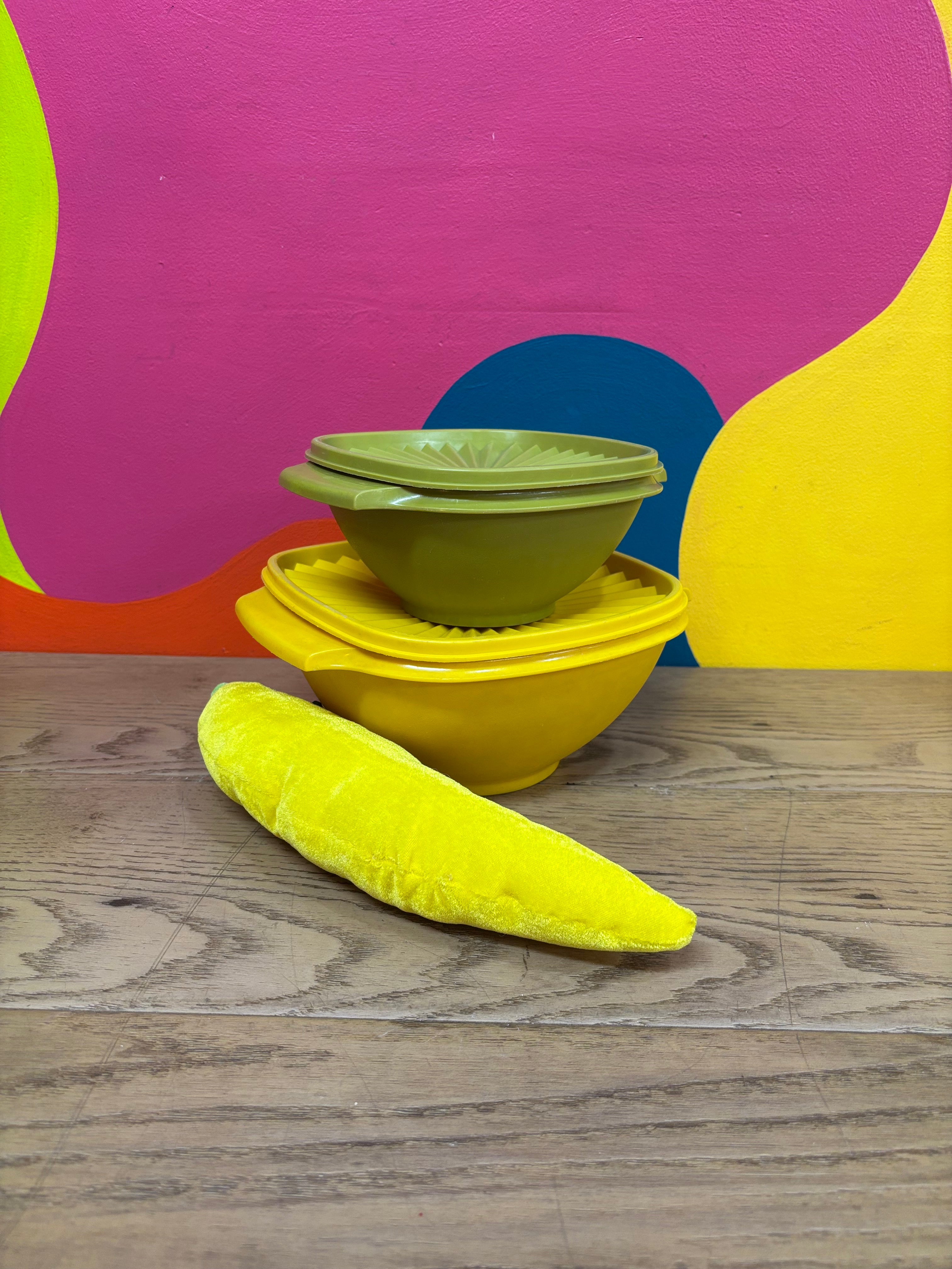 (2) Tupperware Containers