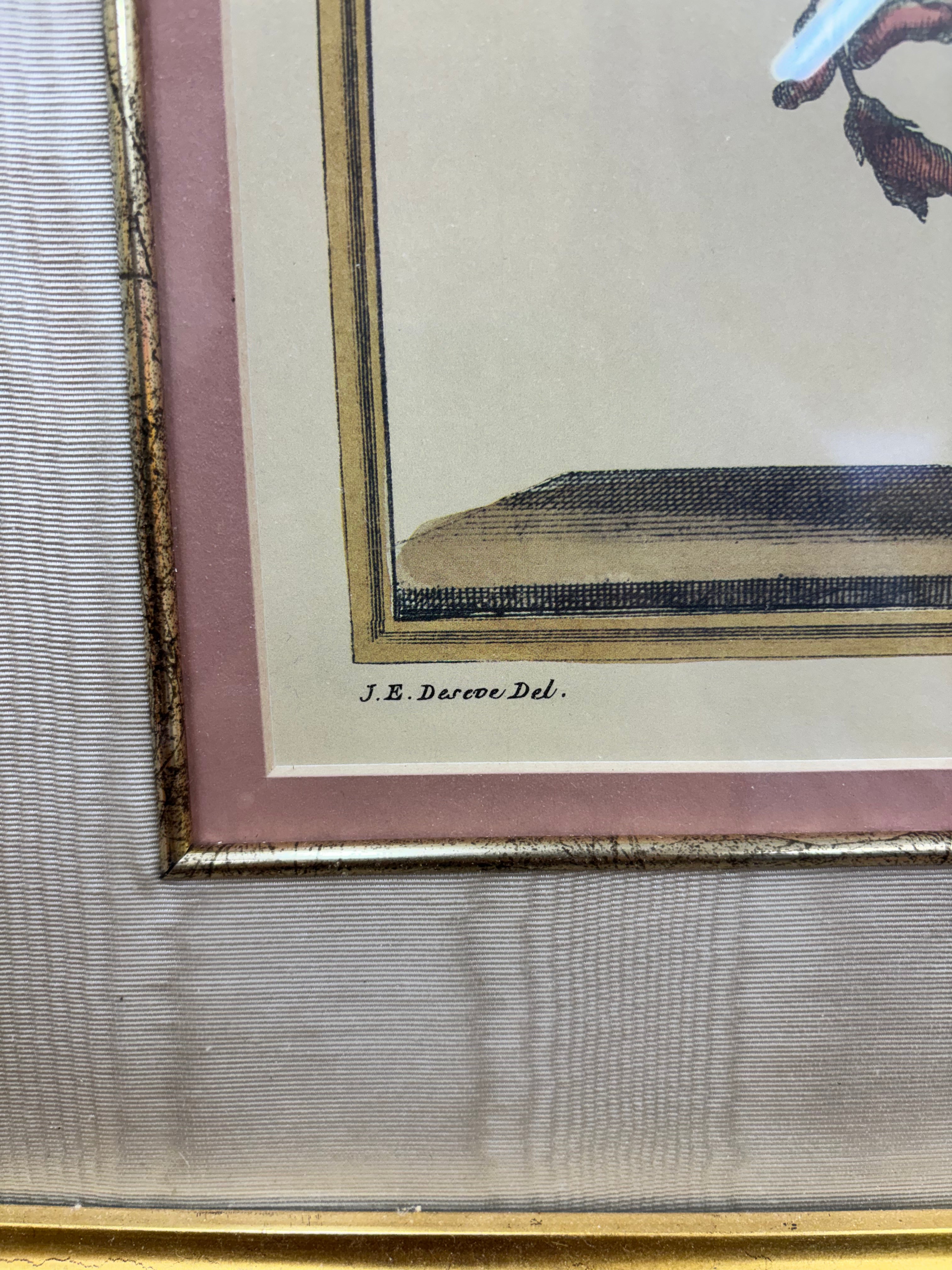 Gold Framed Botanical Print