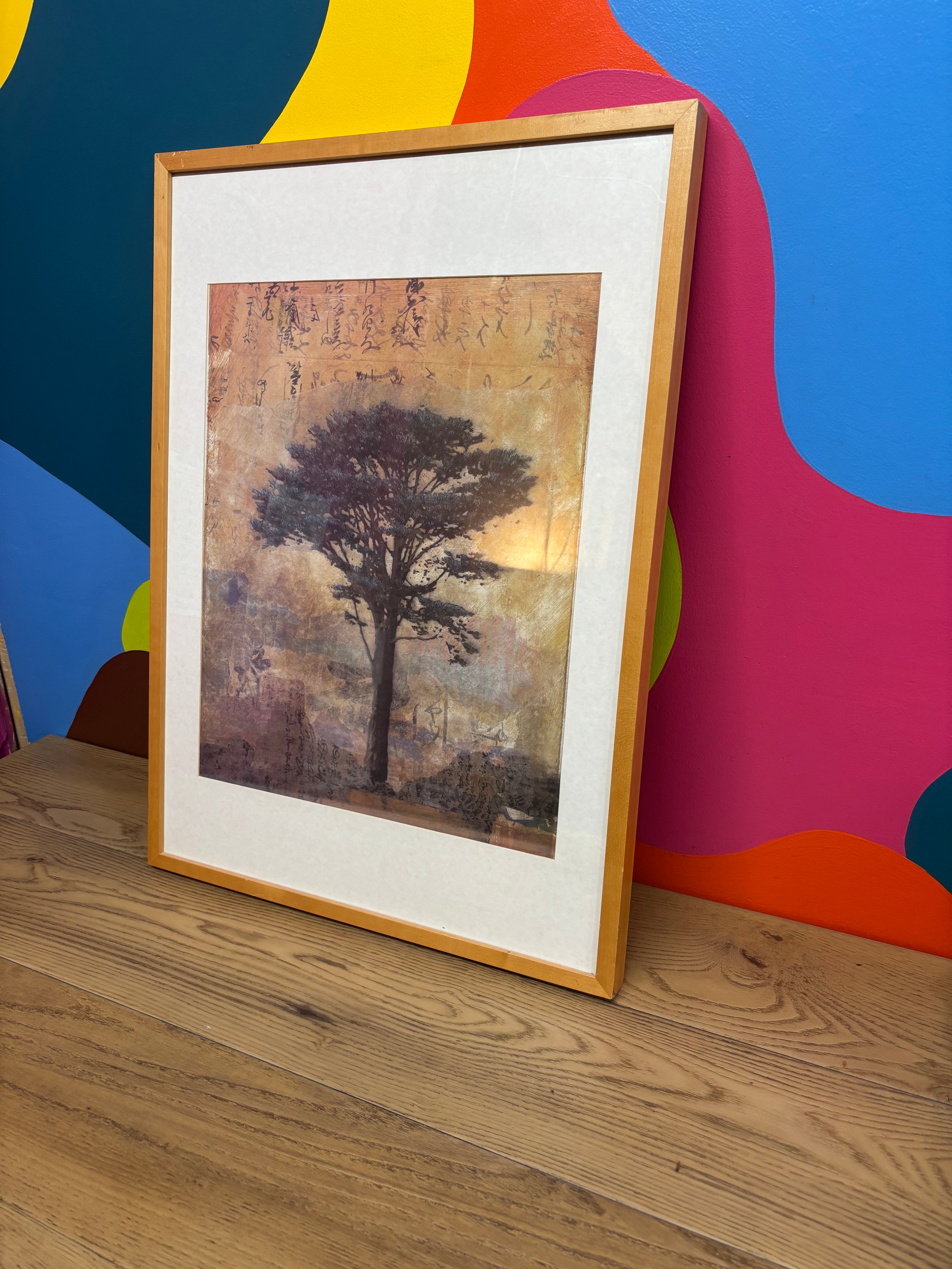 Presidio Cypress by Donald Farnsworth Framed Print
