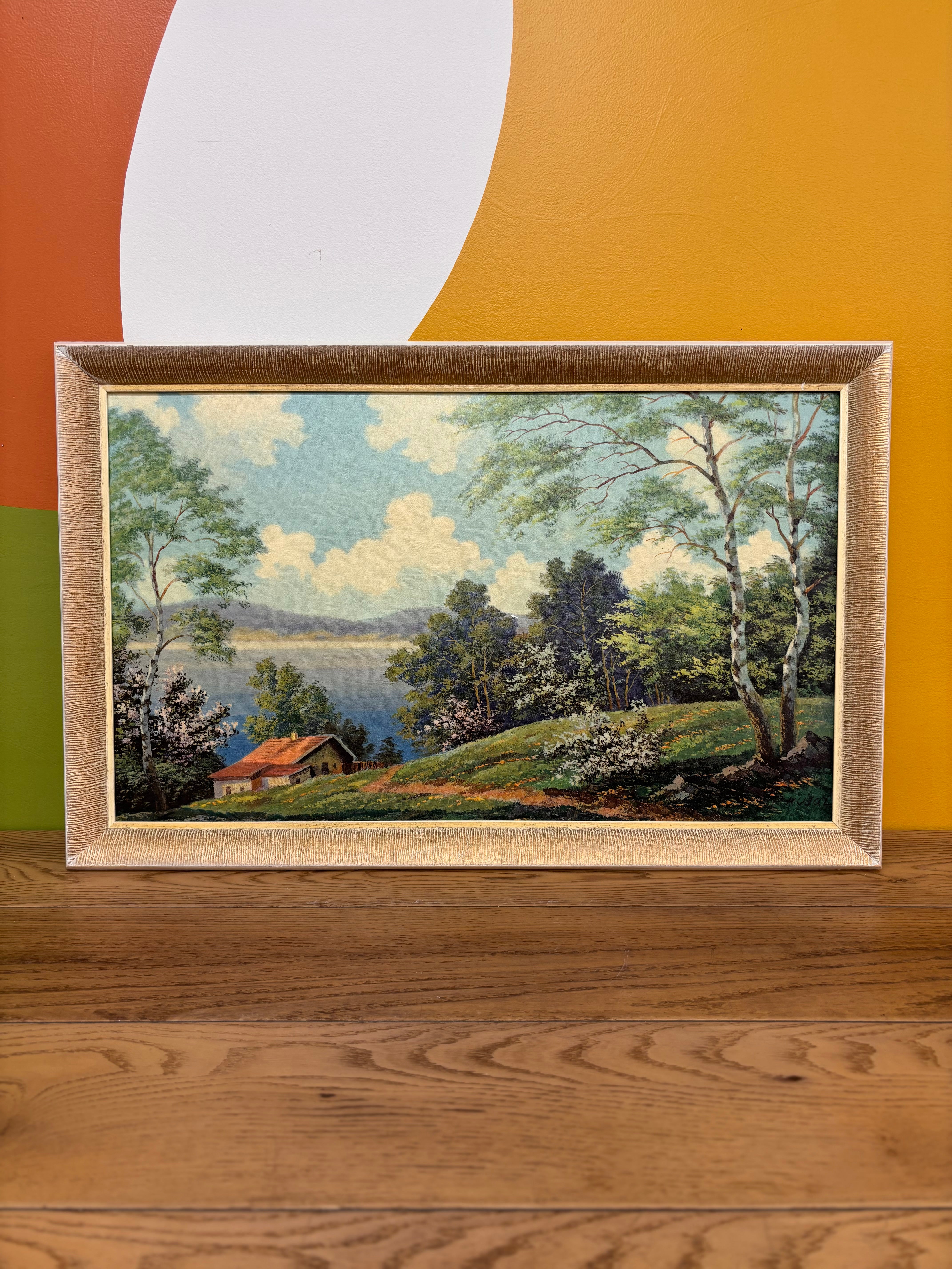 Framed Landscape Art