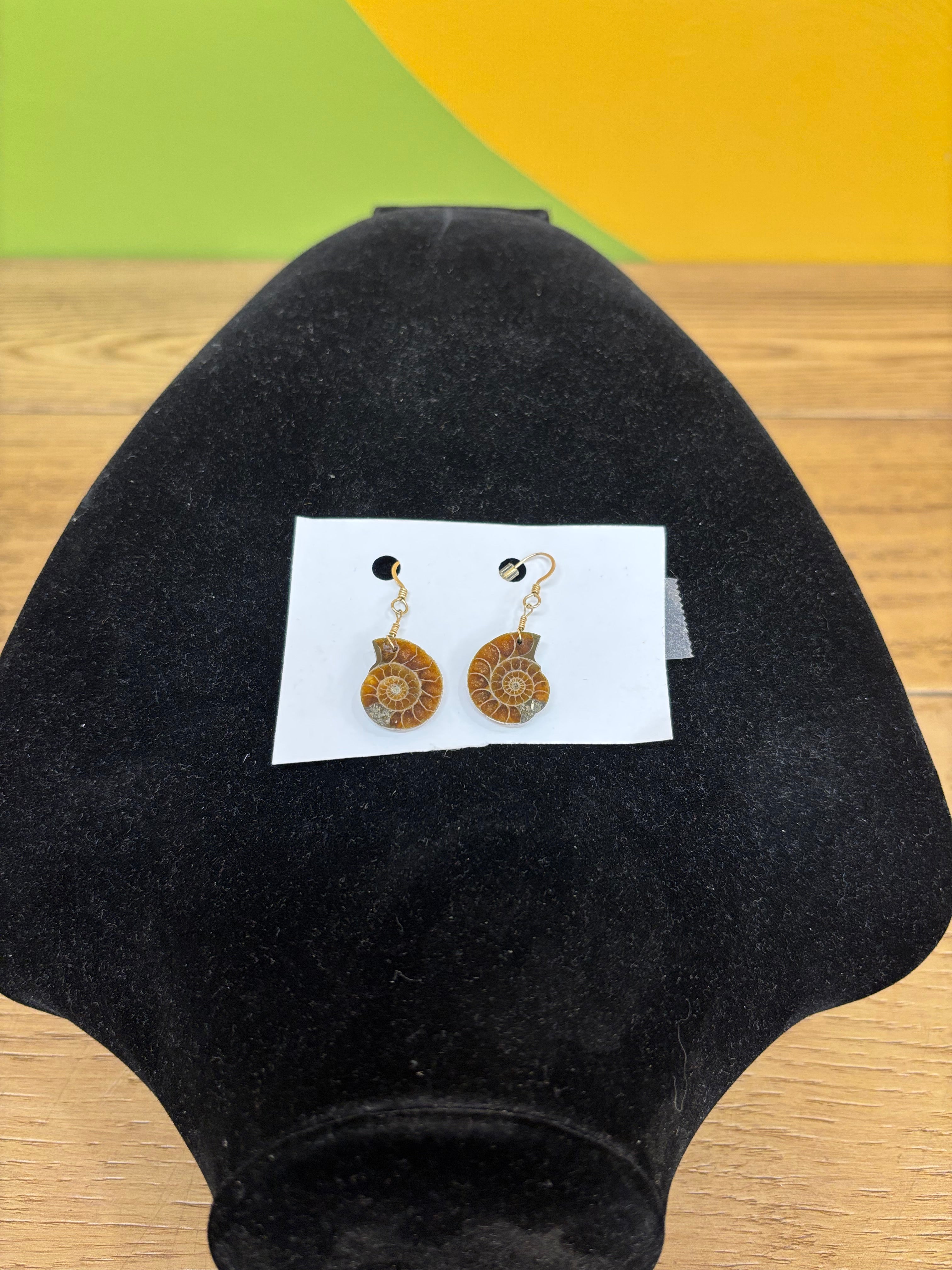Fossil Slice Earrings