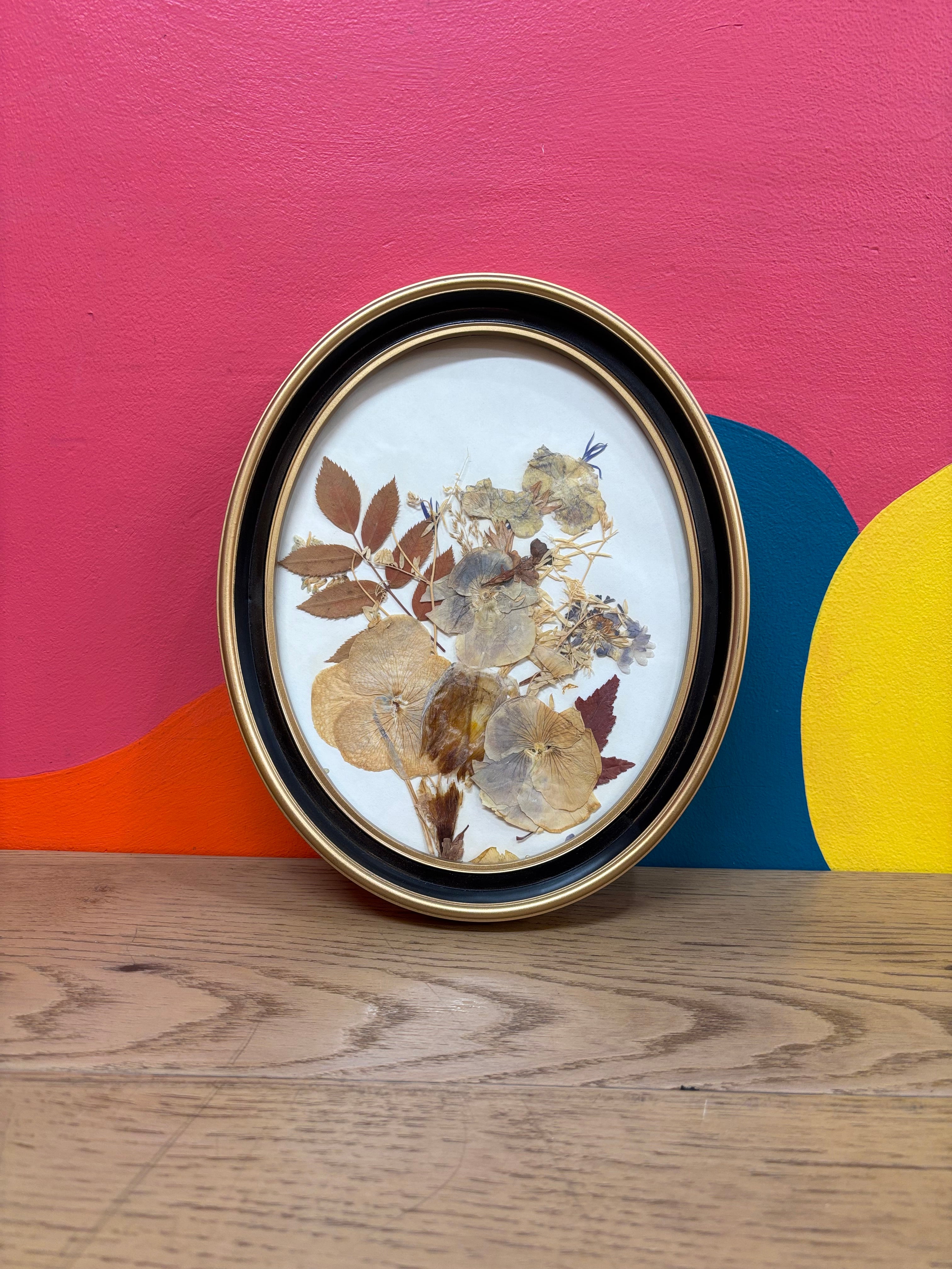 Framed Pressed Flowers #1