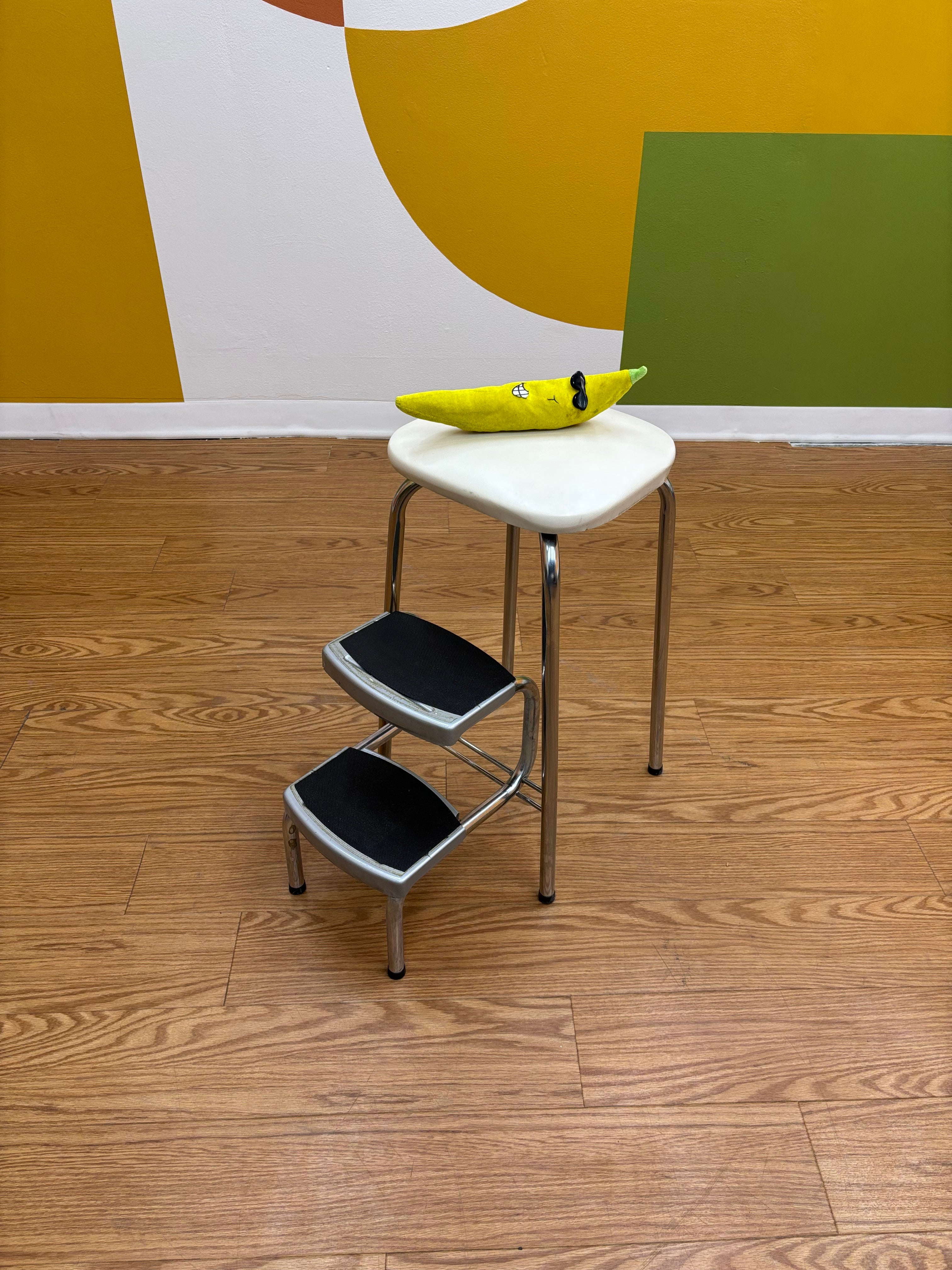 Folding Step Stool