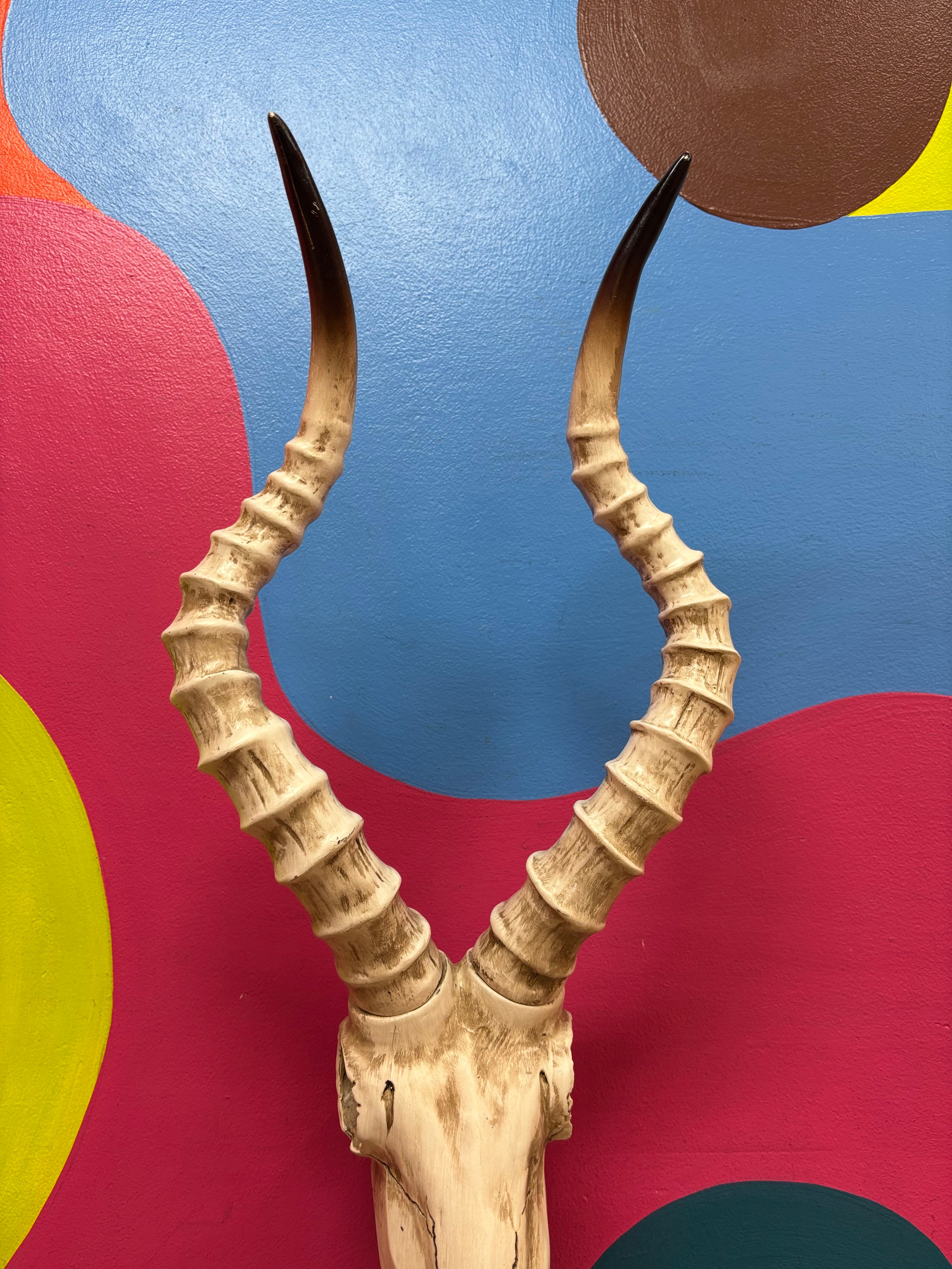 Long Horn Skull Decor