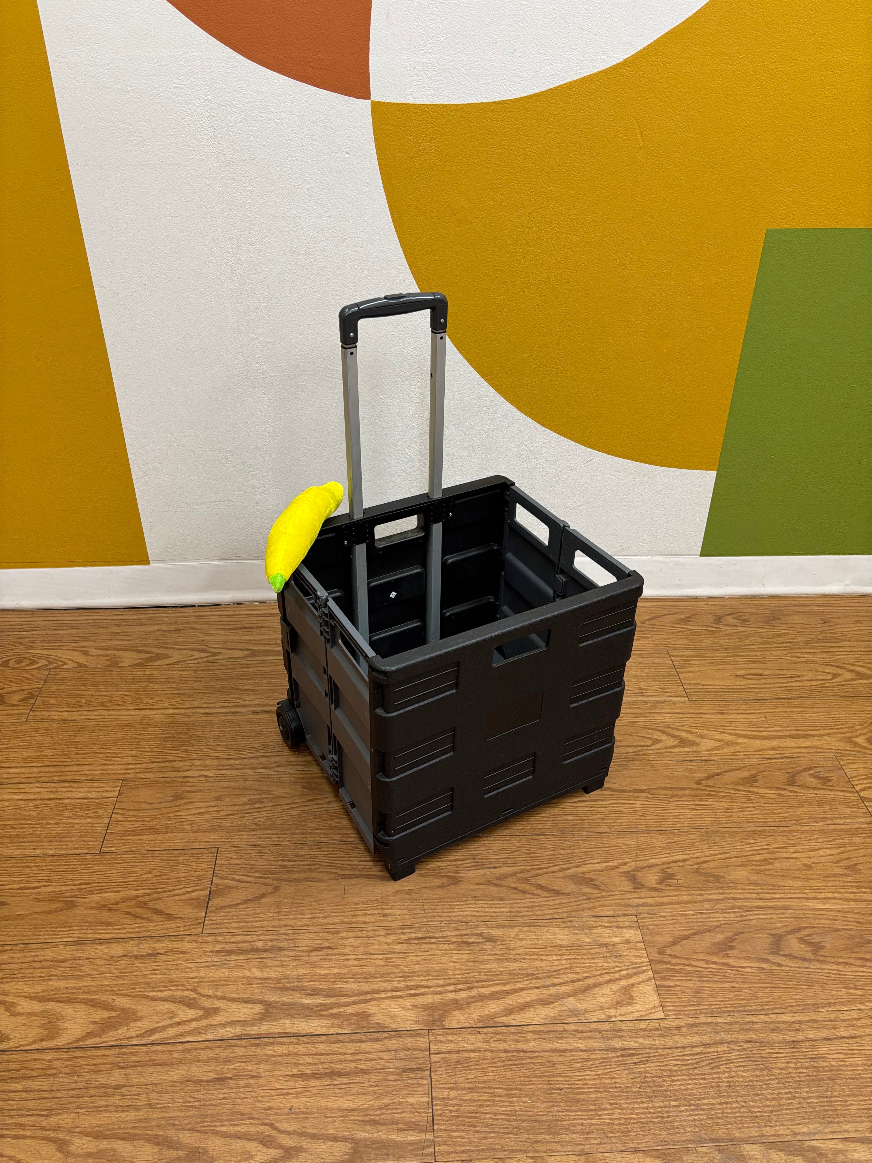 Collapsible Shopping Cart