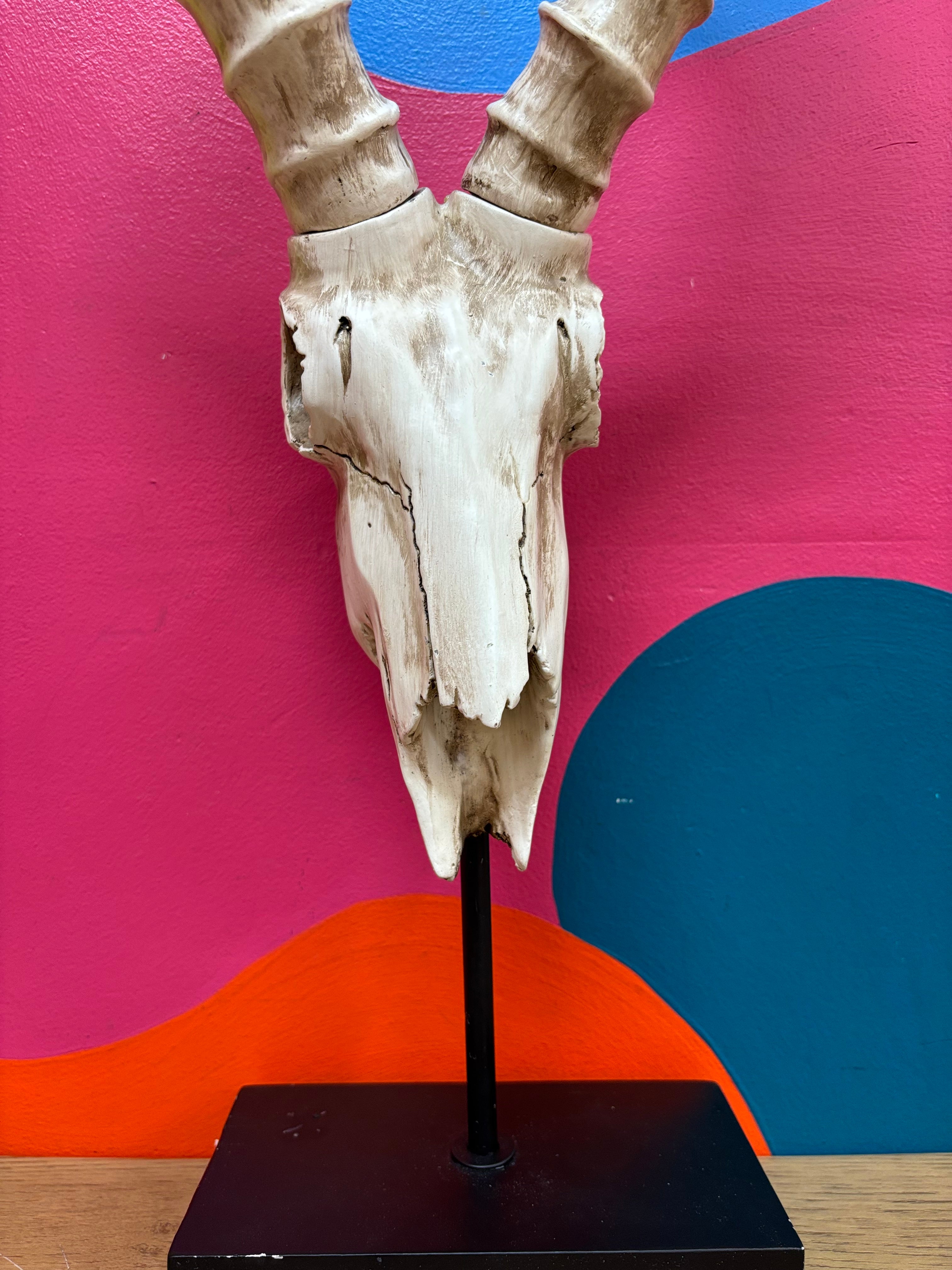 Long Horn Skull Decor