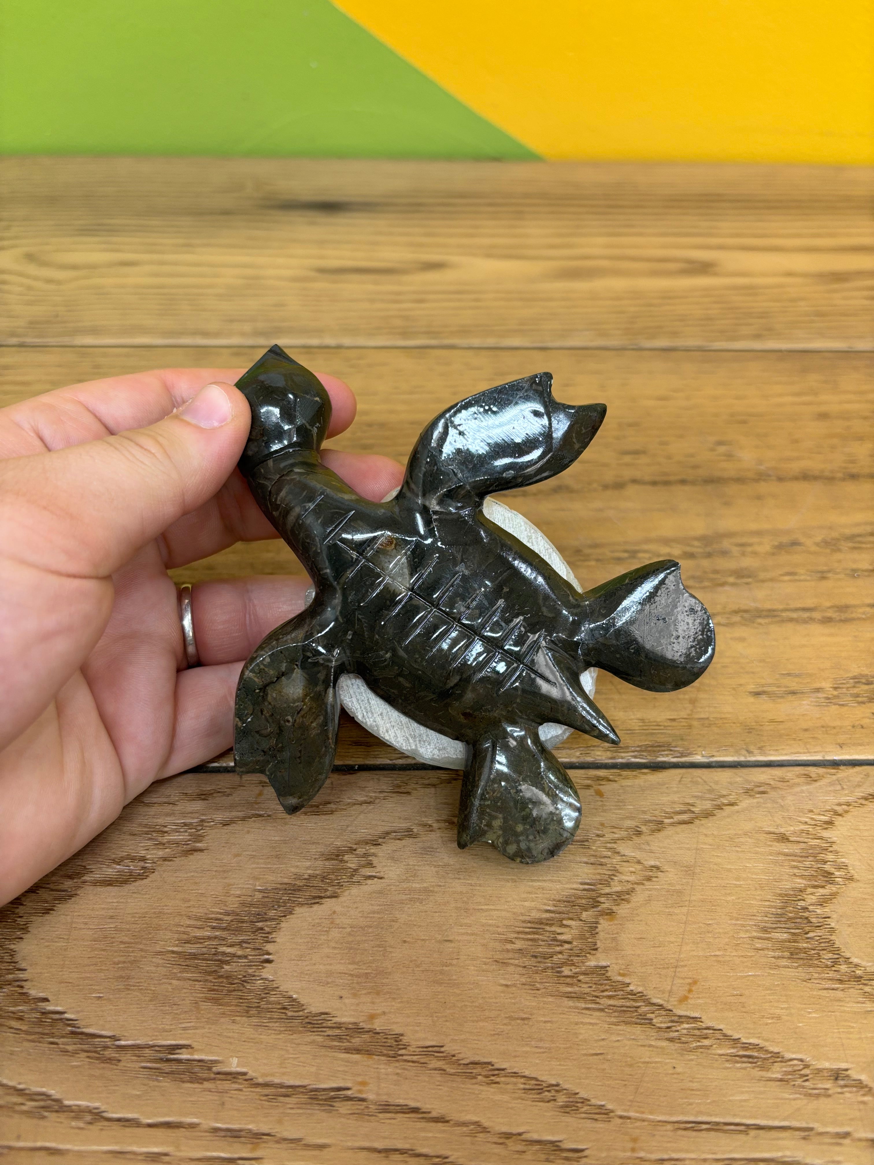 Paperweight Turtle