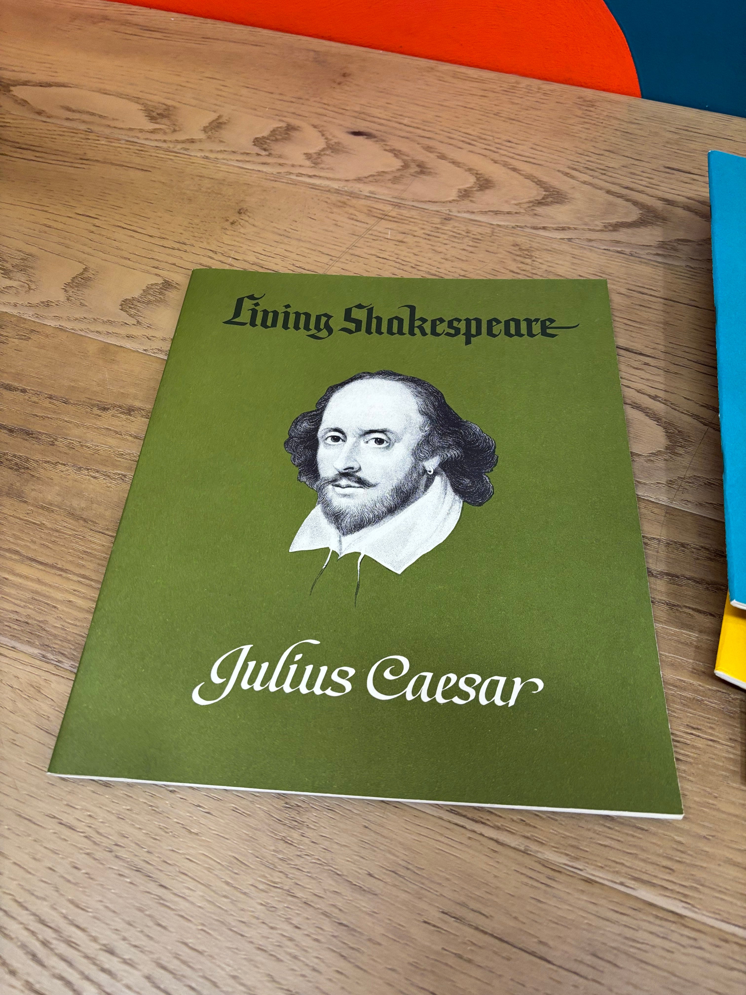 (11) Shakespeare Play Booklets