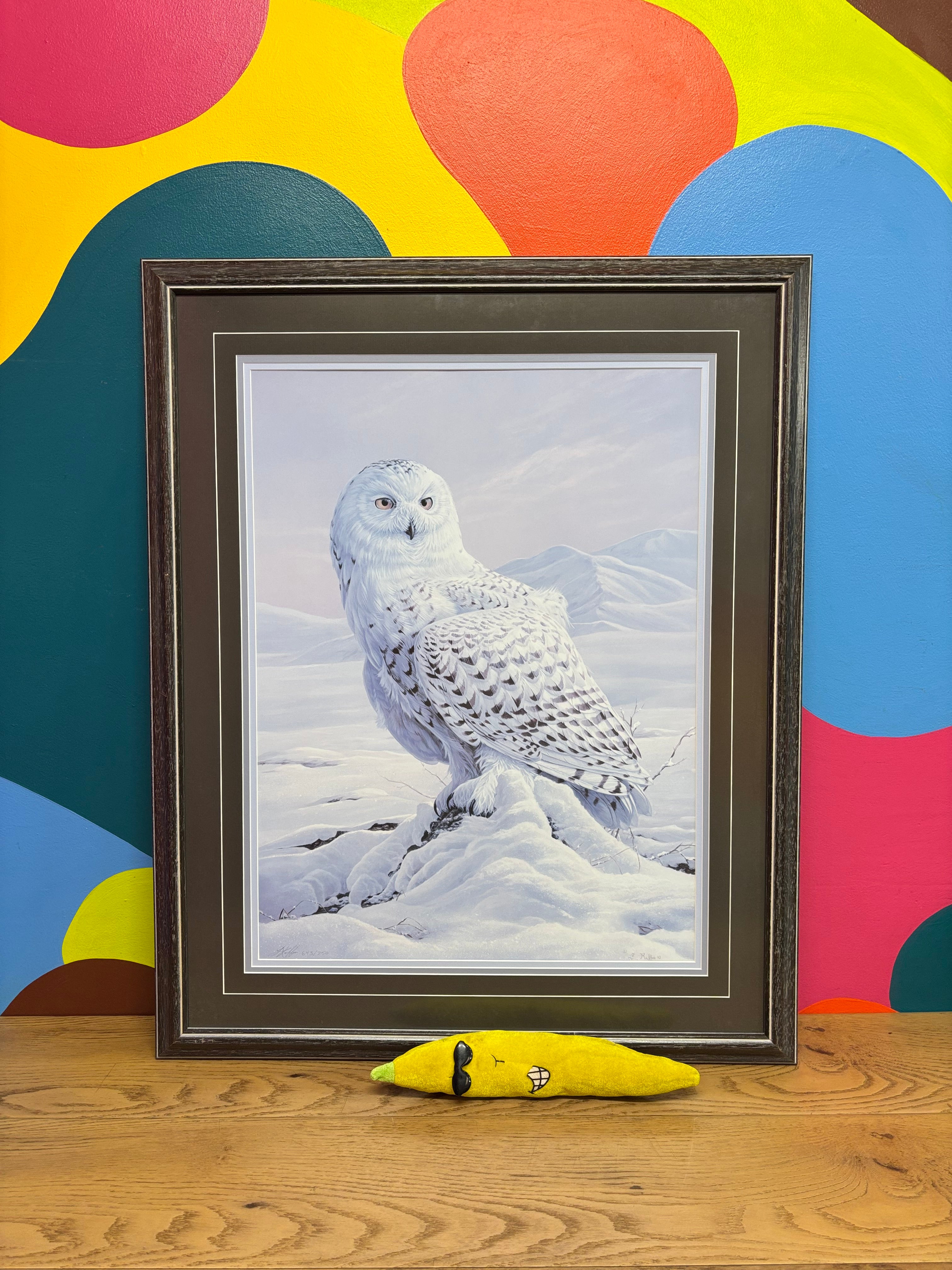 Framed Spirit of the Artic Print by Luke Raffin