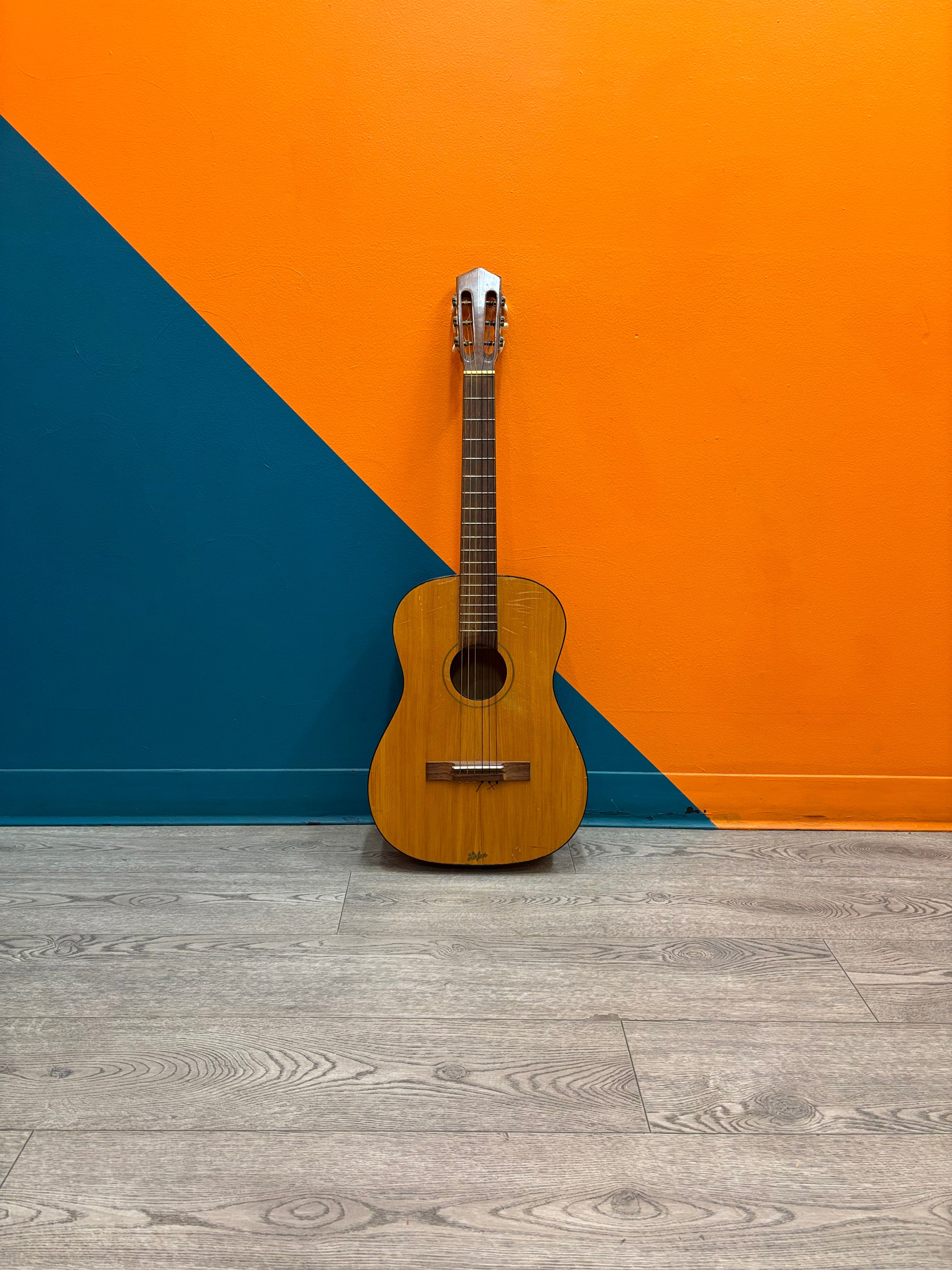 Hofner Acoustic Guitar