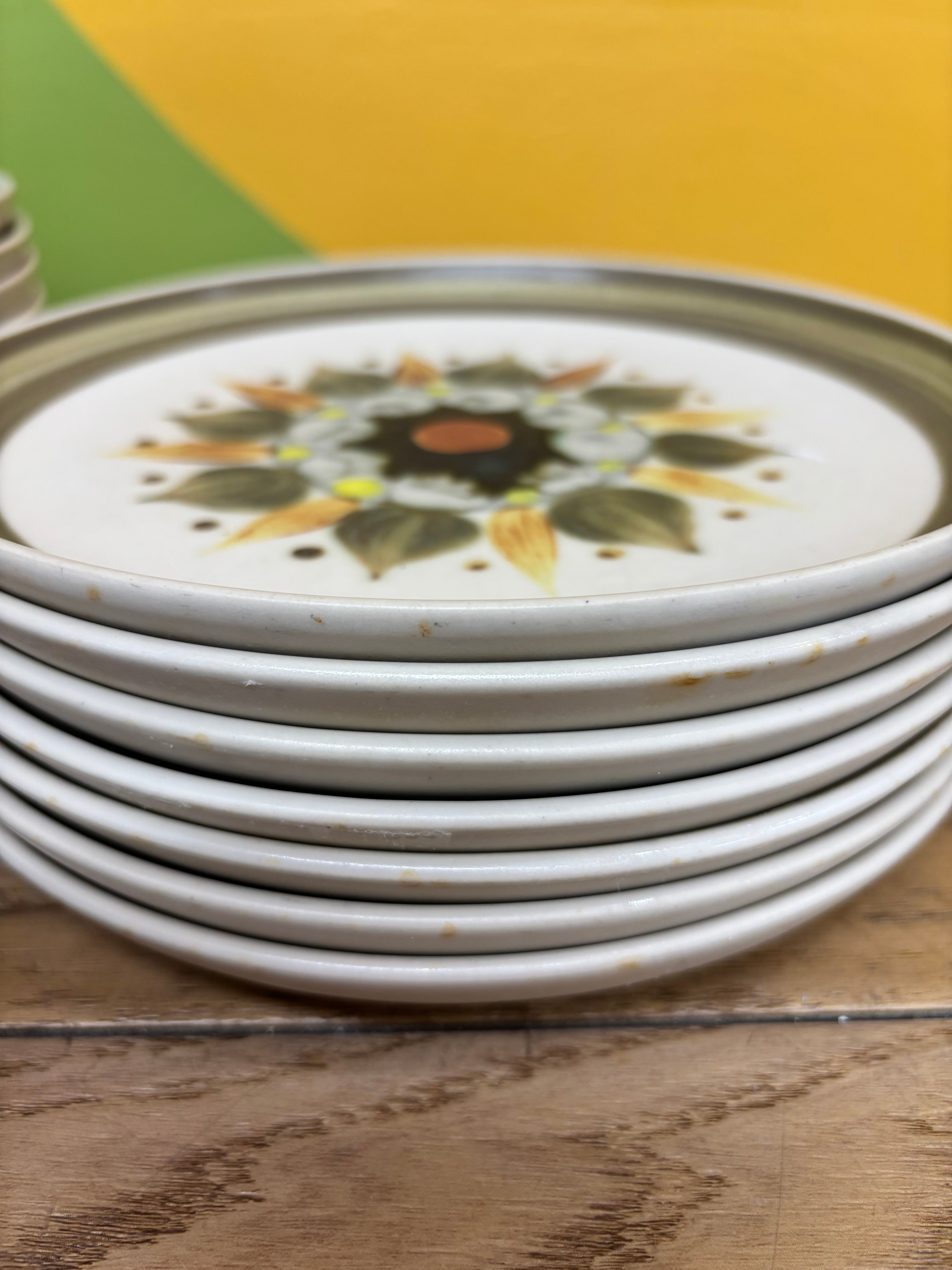 Denby Langley "Sherwood" Stoneware Plate Set