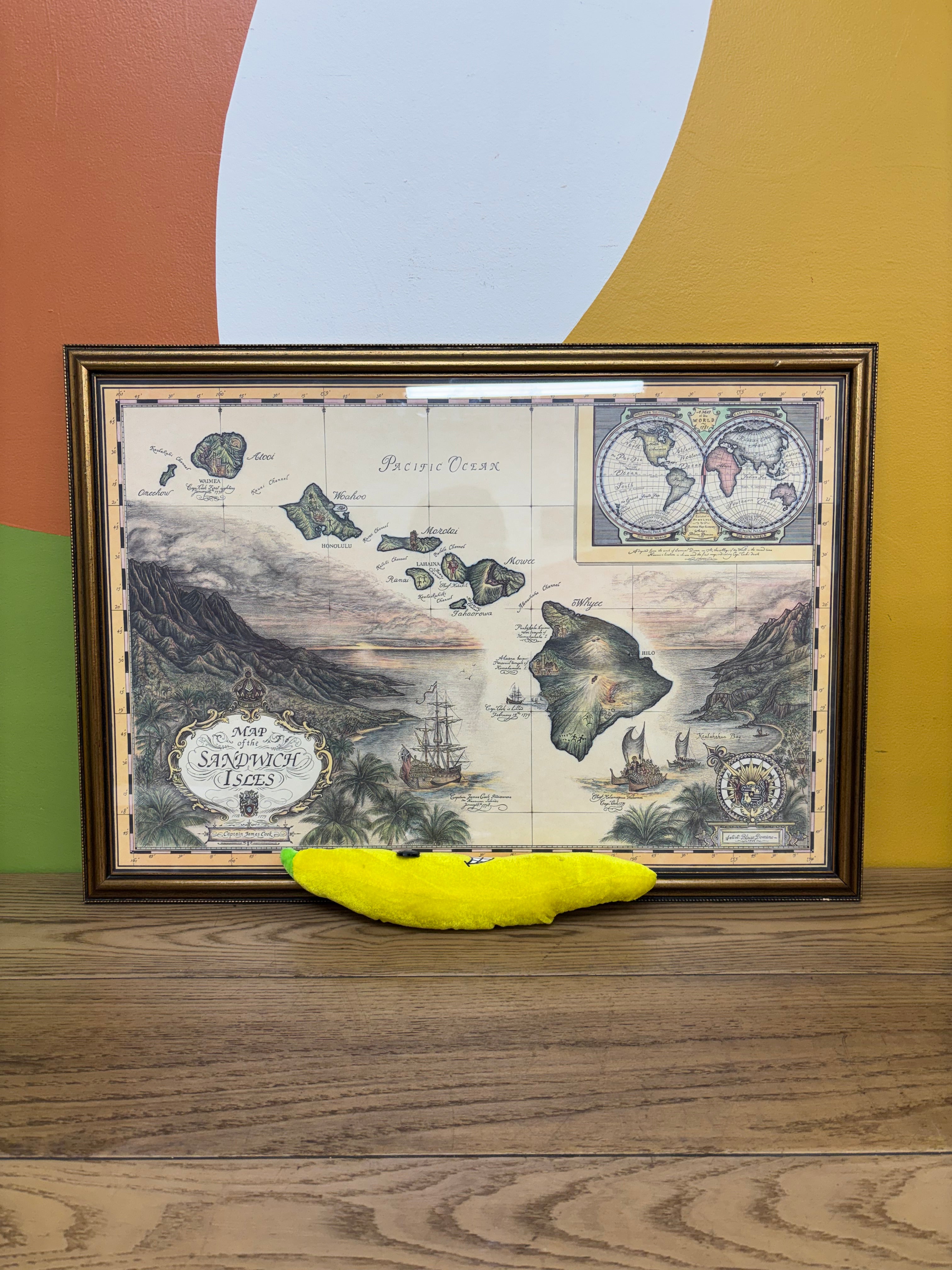 Framed Map of the Sandwich Isles