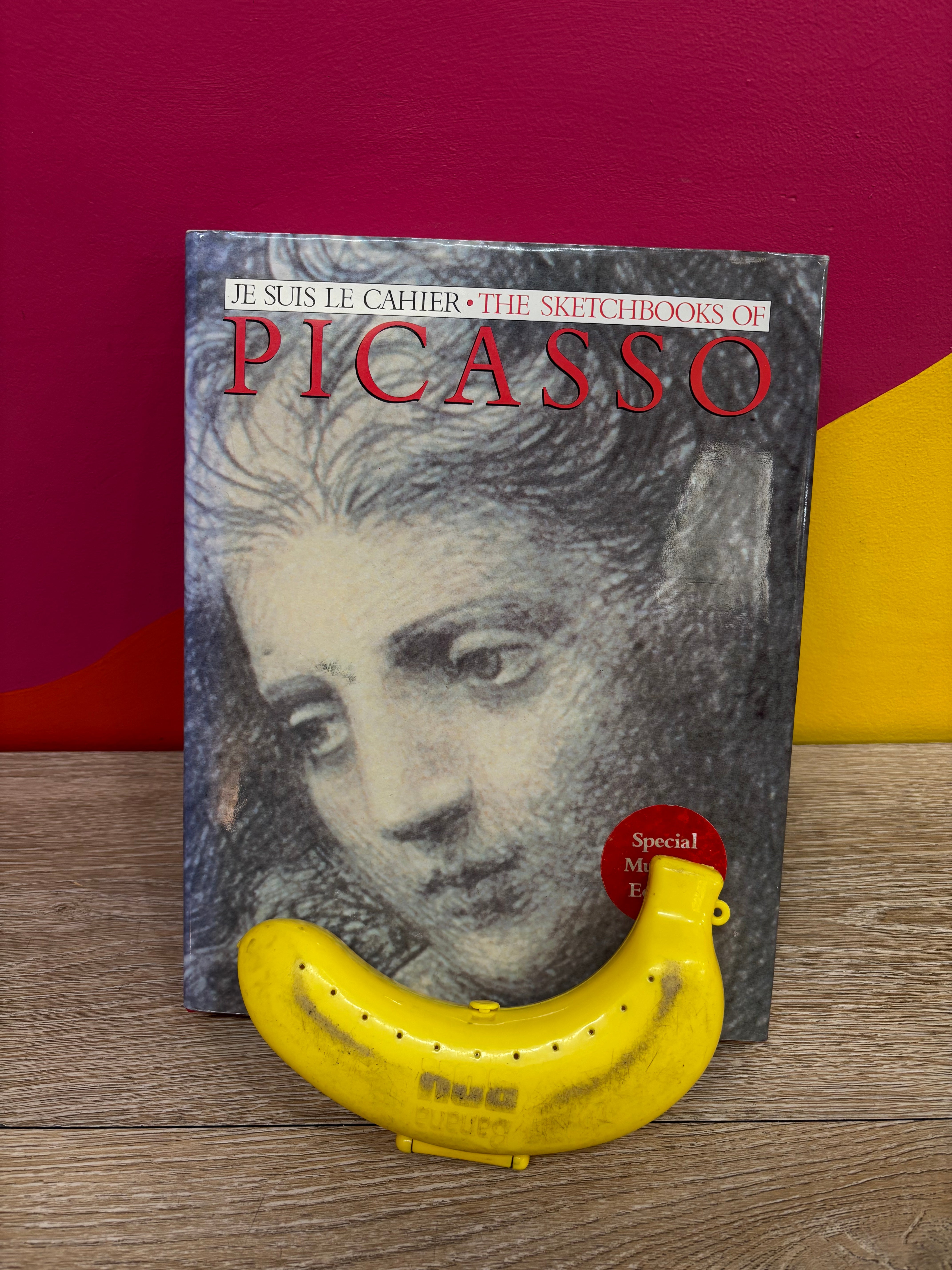 The Sketchbooks of Picasso Hardcover Book