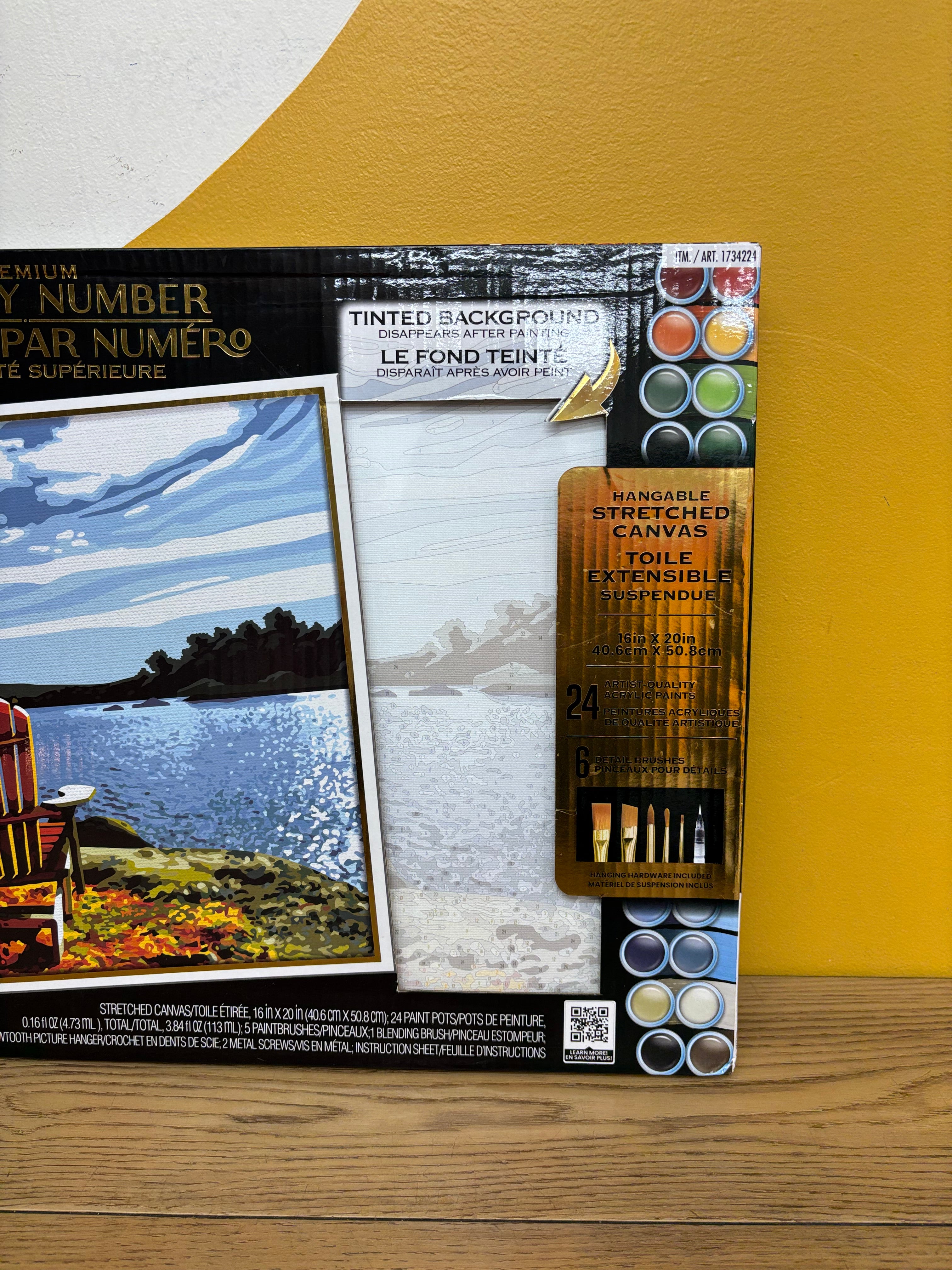 ArtSkills Premium Paint by Number Kit #1