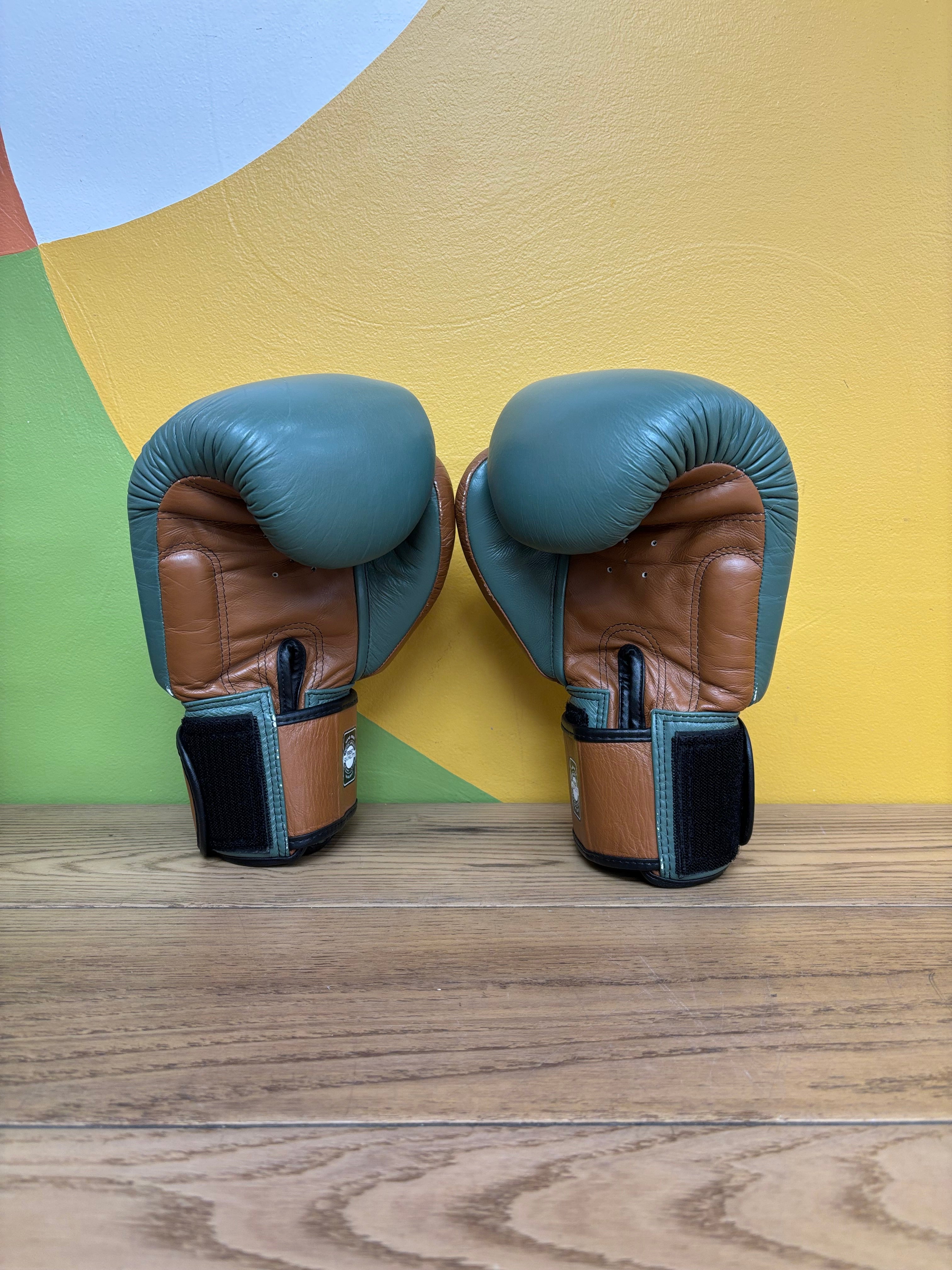 Twins Special Boxing Gloves