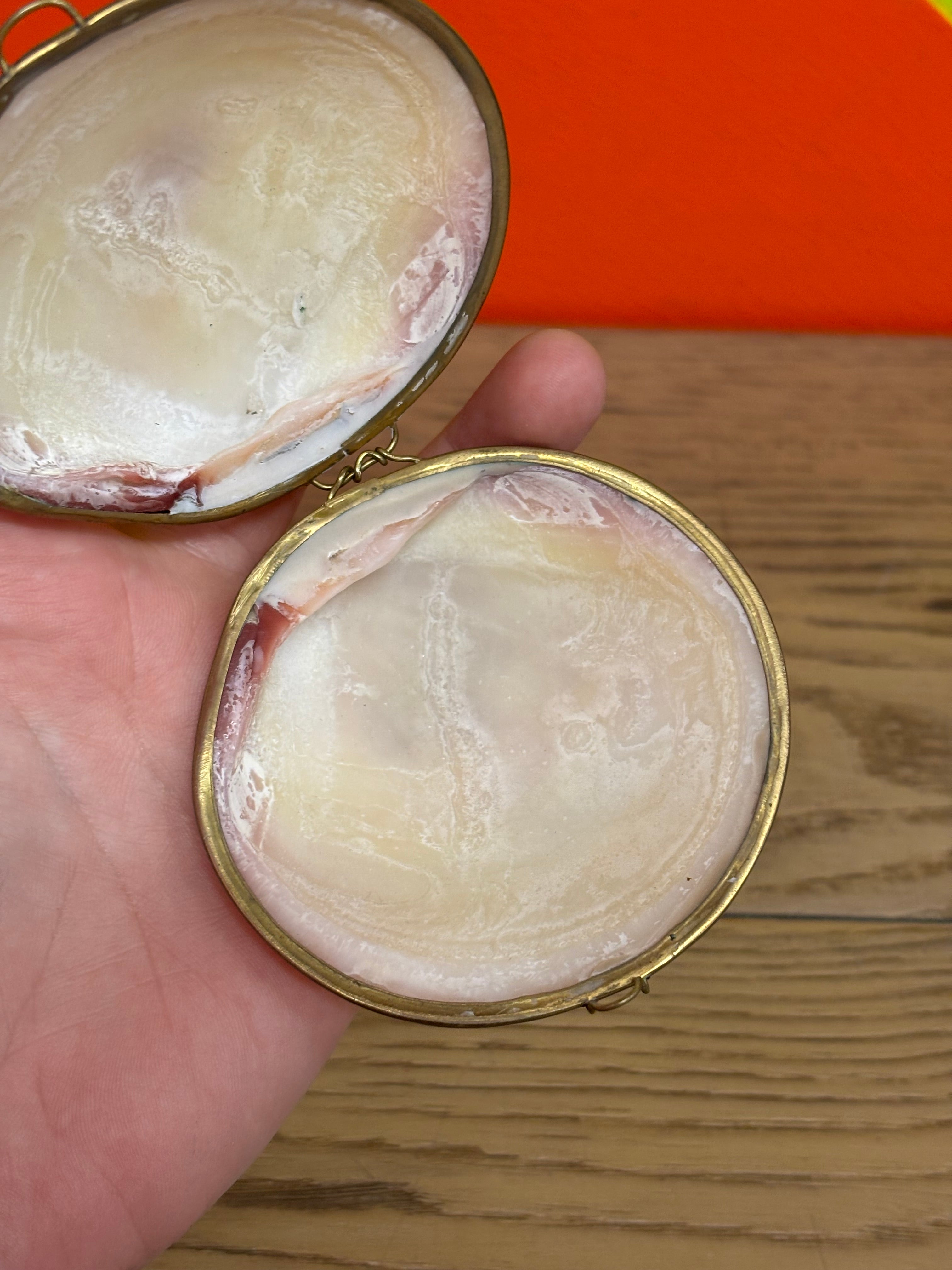 Small Seashell Trinket Box