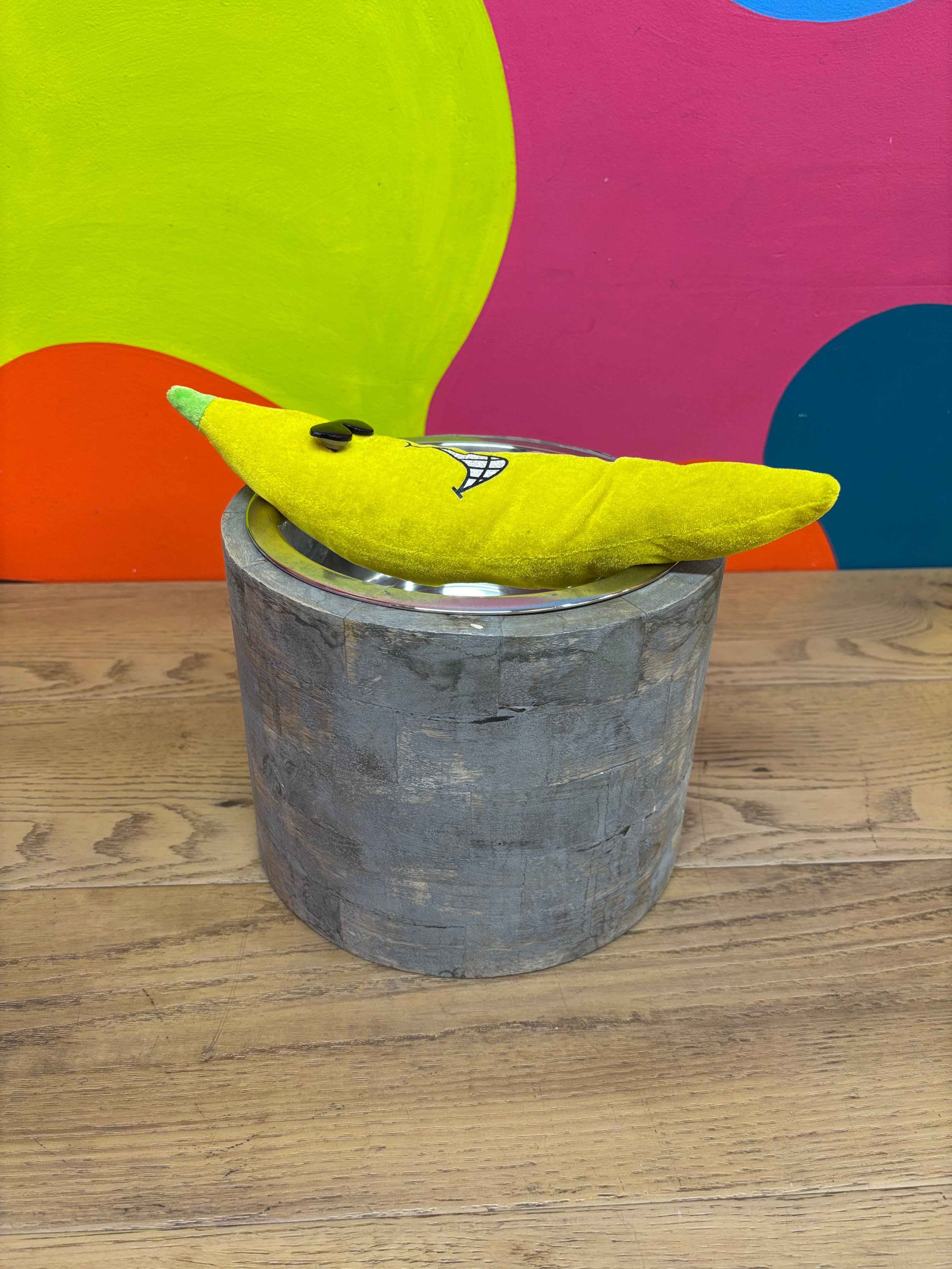 Tall Pet Bowl