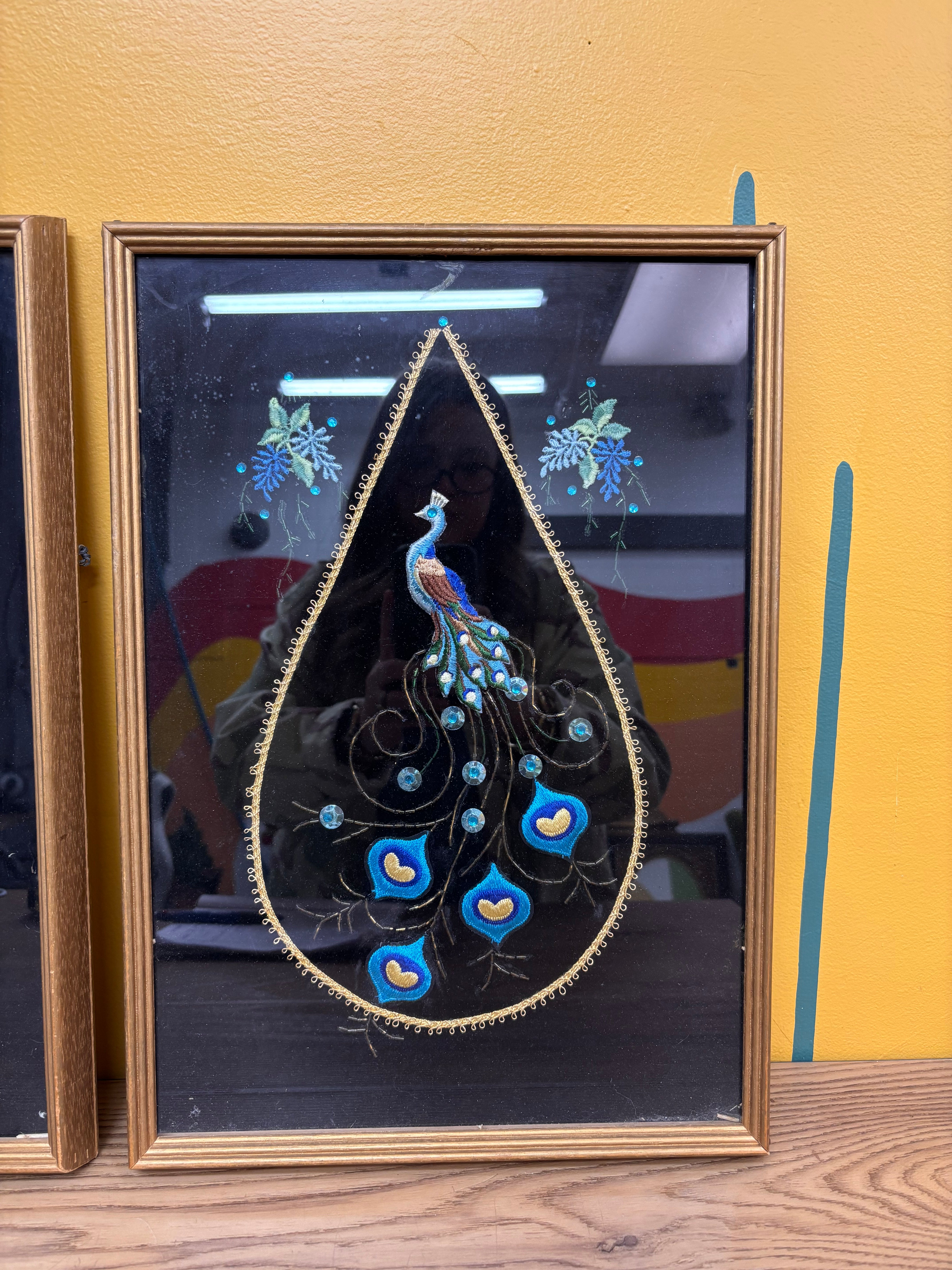 Set of 2 Peacock Velvet Framed Art