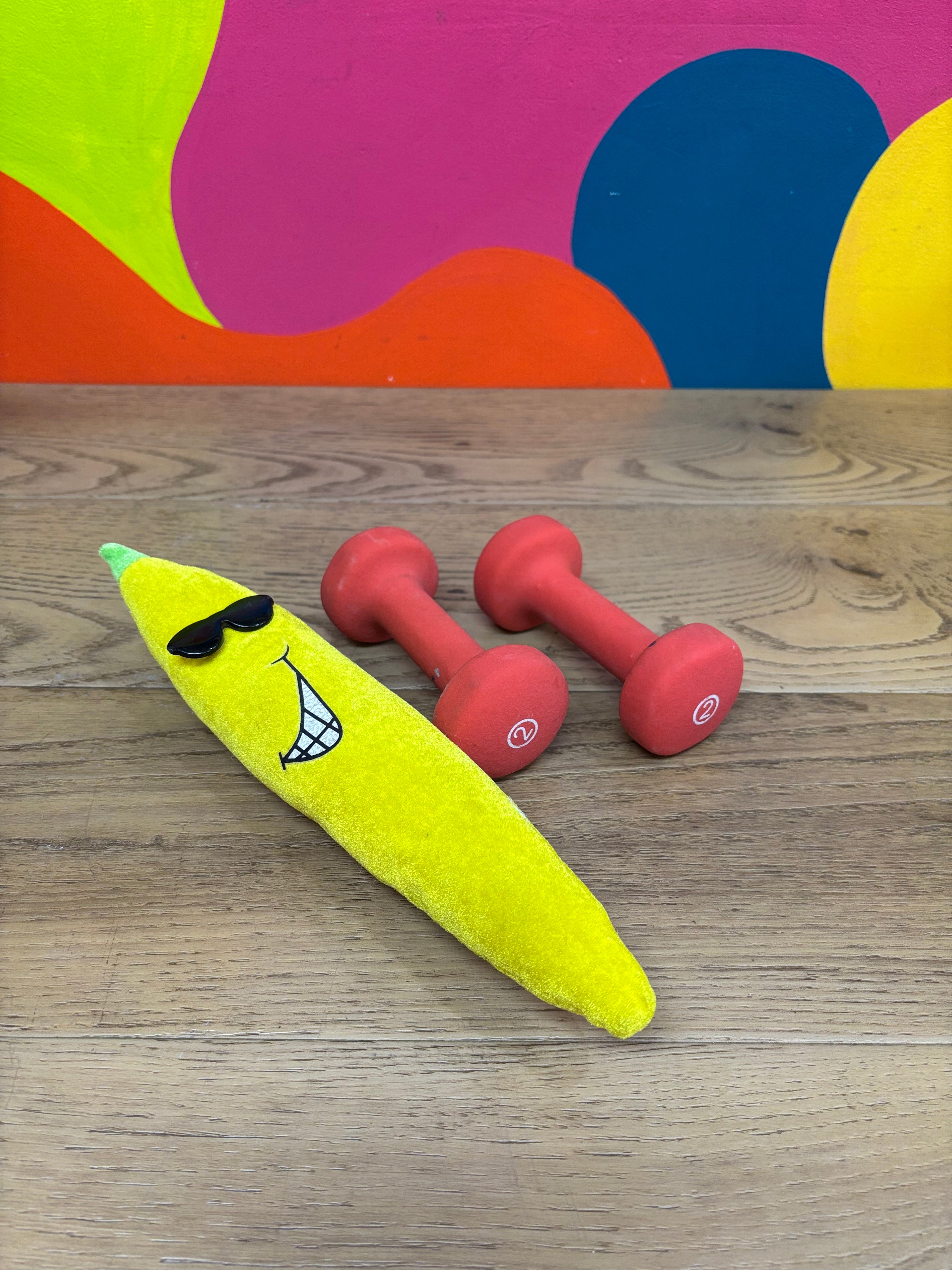 Set of 2 Pound Weights