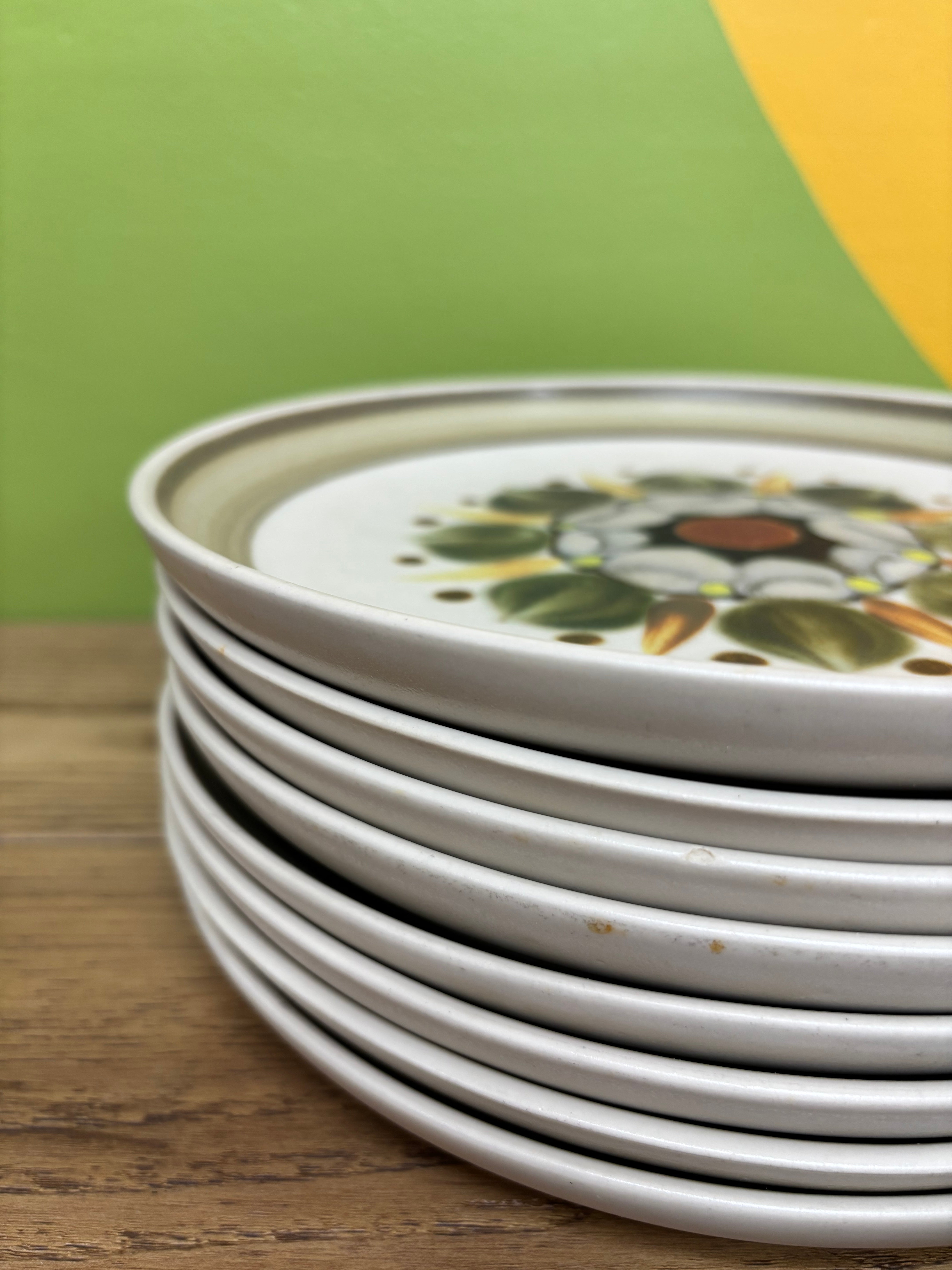 Denby Langley "Sherwood" Stoneware Plate Set
