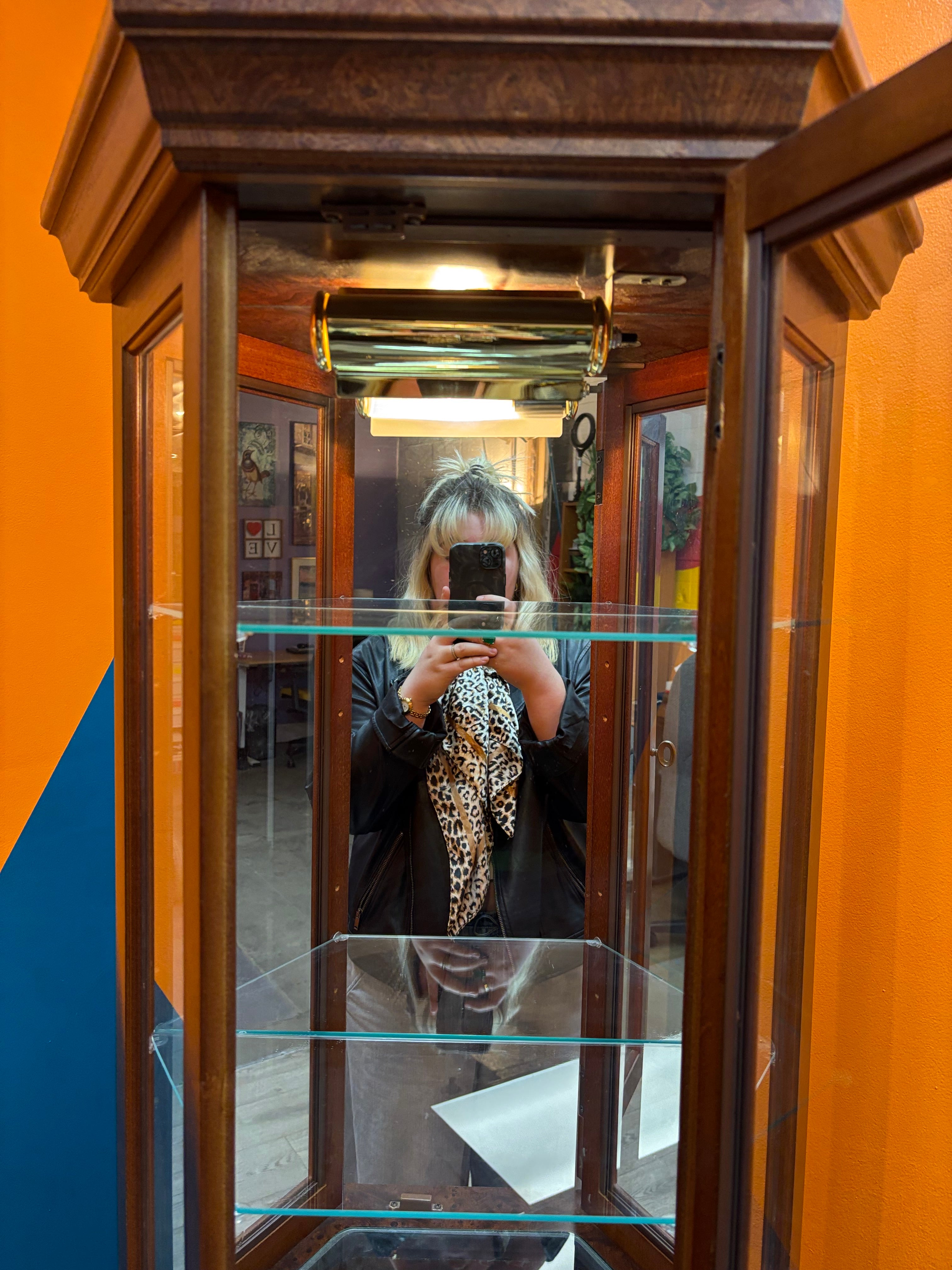 Light Up Wood and Glass Display Cabinet
