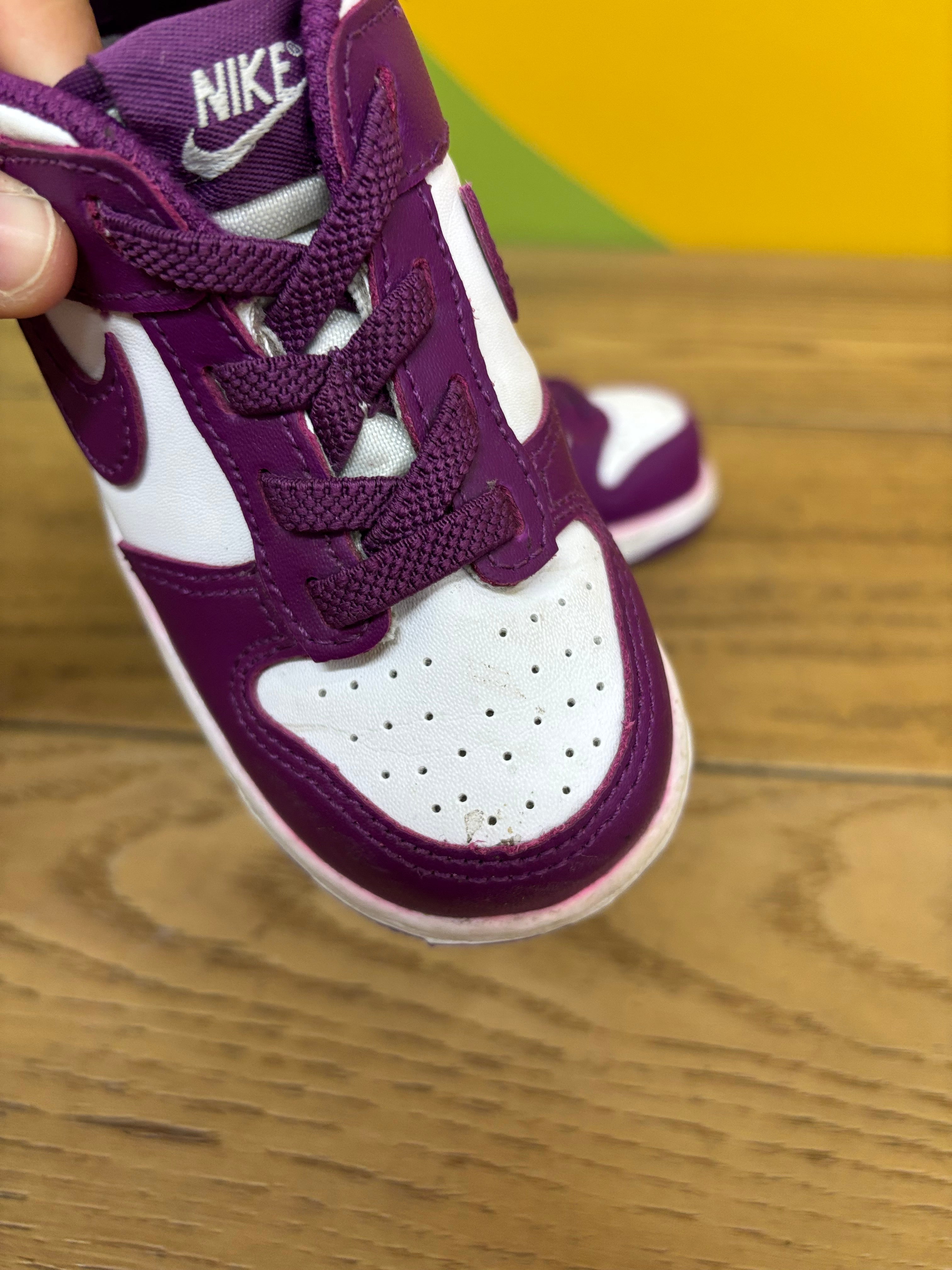 Toddler Nike Low Dunk Shoes - Size 8C