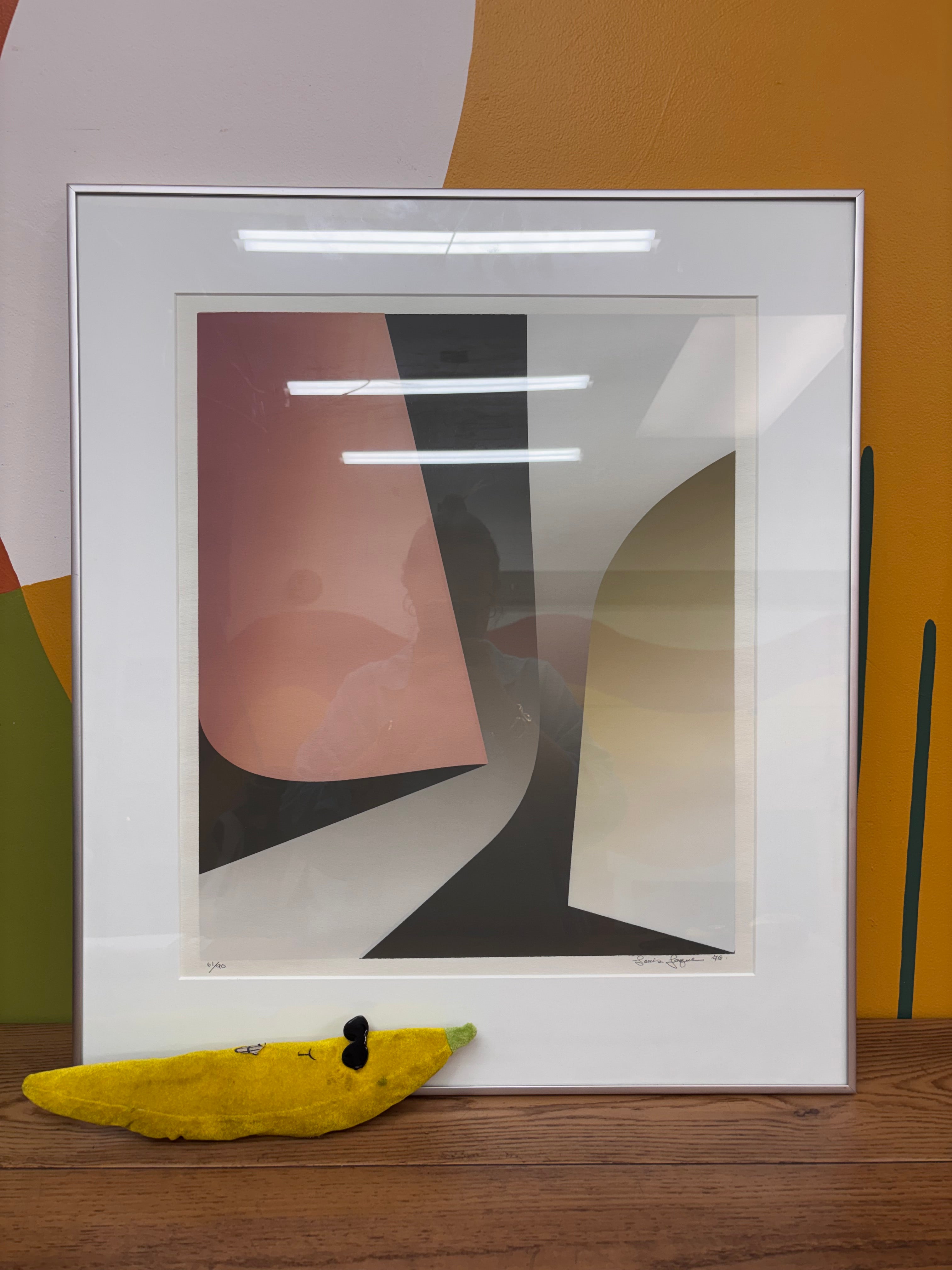 Framed Artwork by Louis Jaque