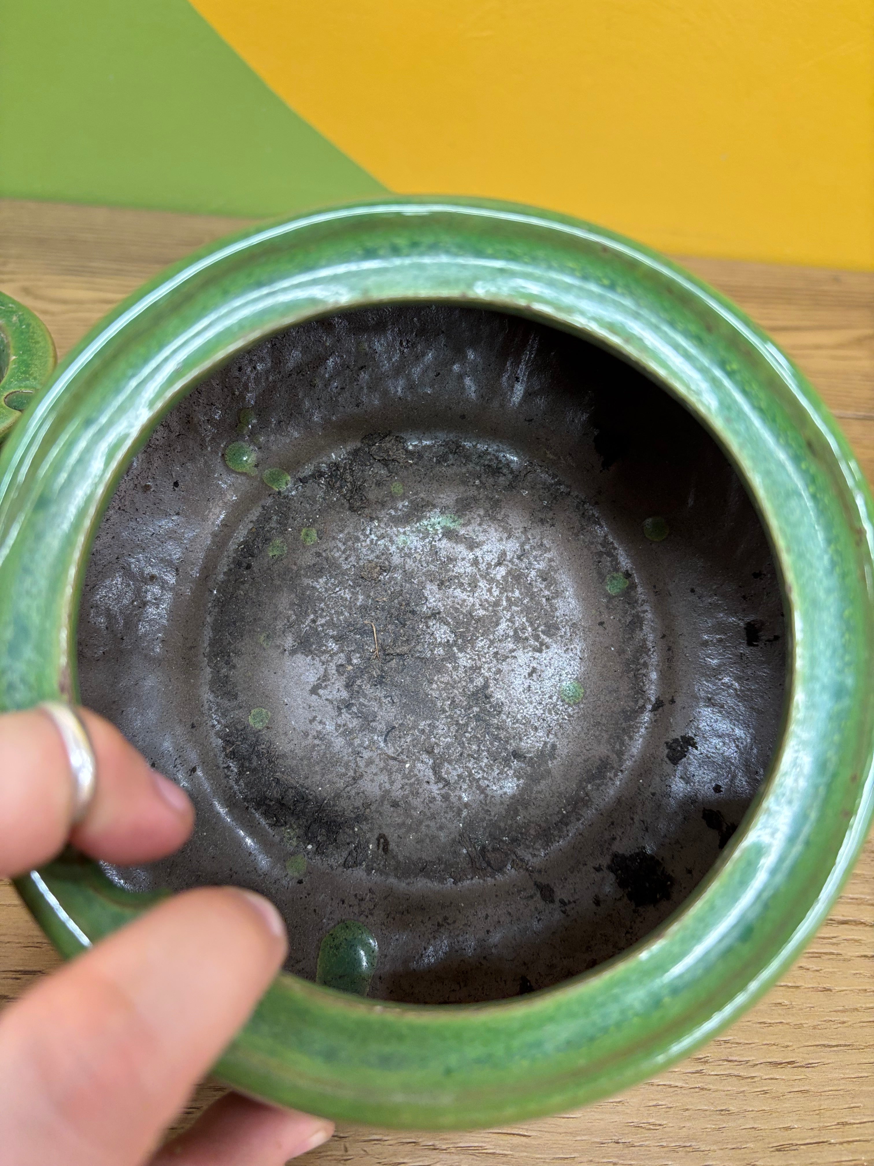Green Self Watering Pot