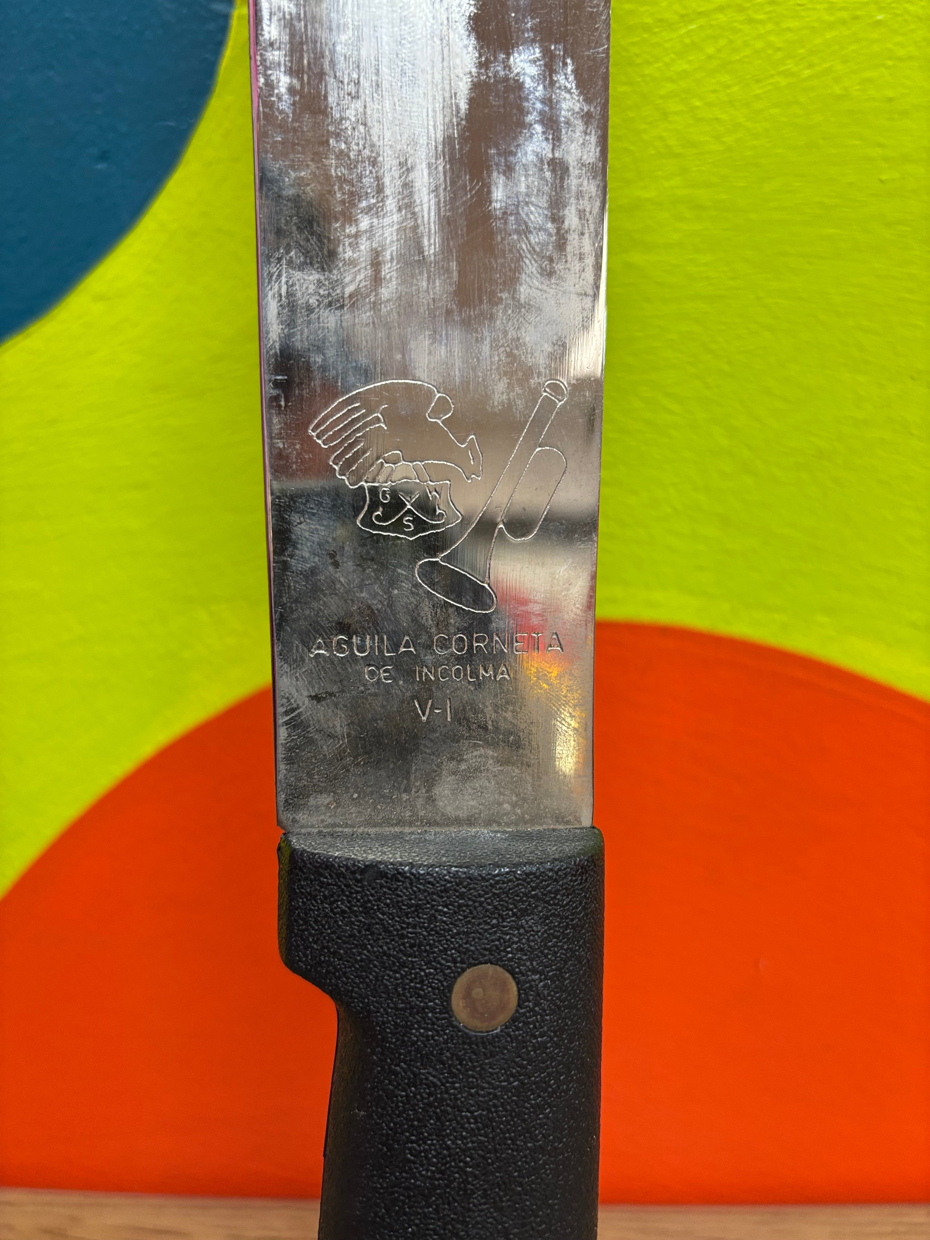 Knife in Leather Sheath