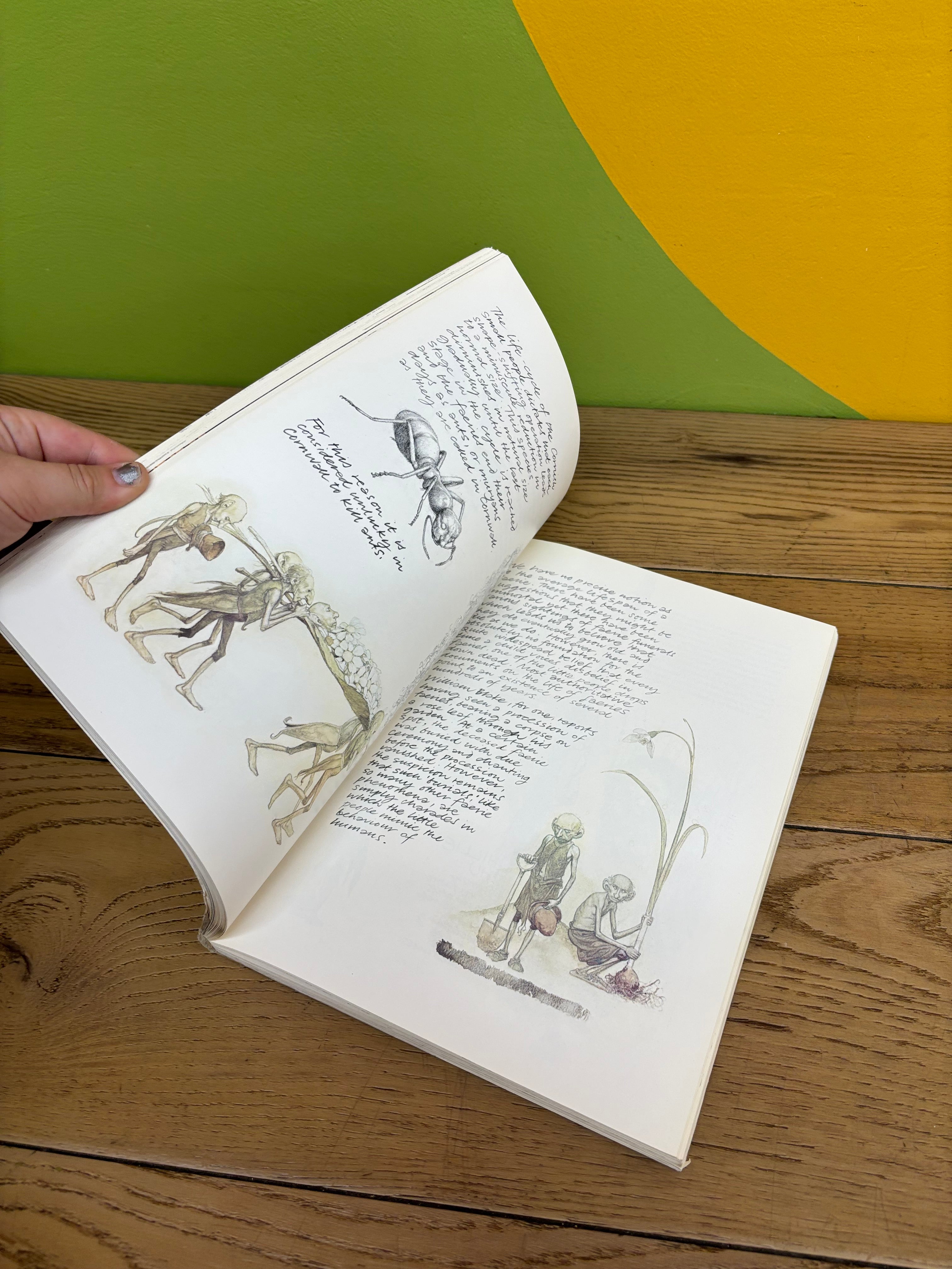 Faeries Book