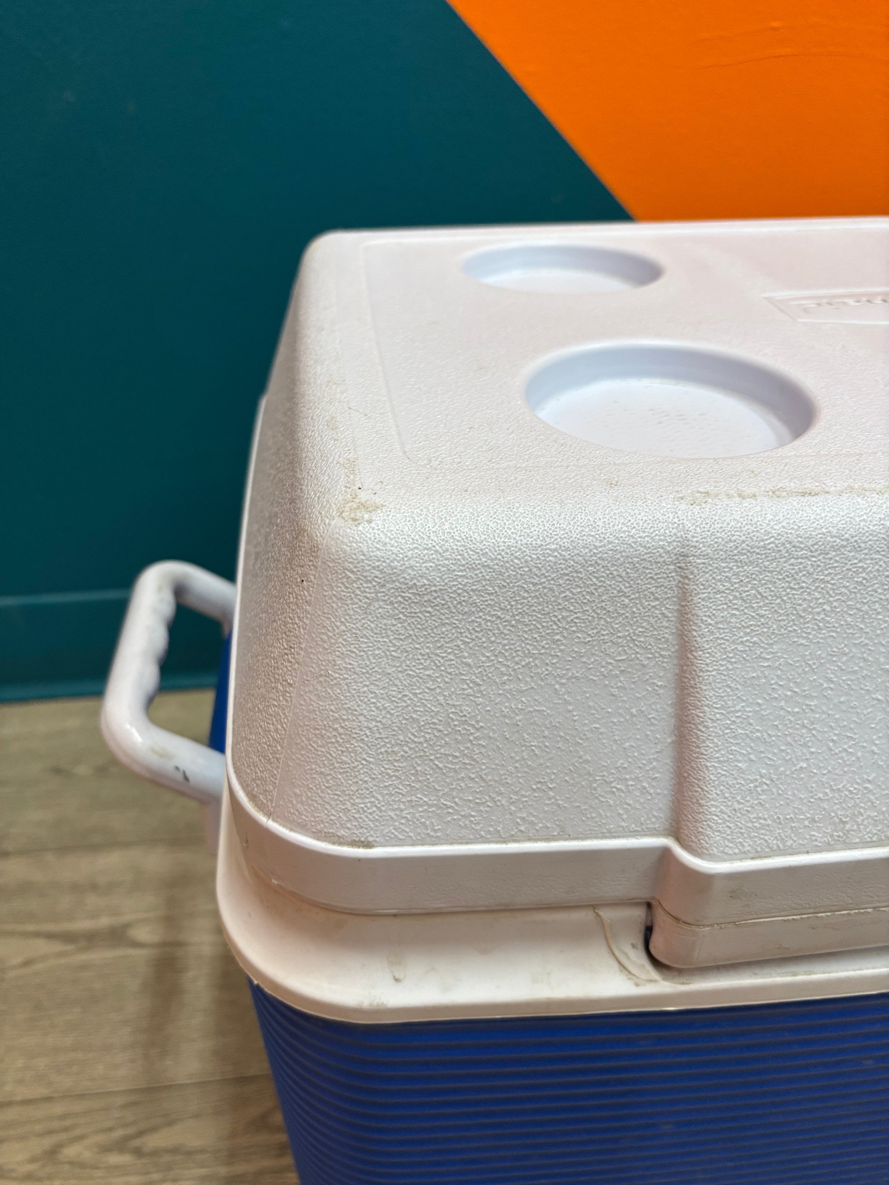 Blue & White 195L Rubbermaid Cooler