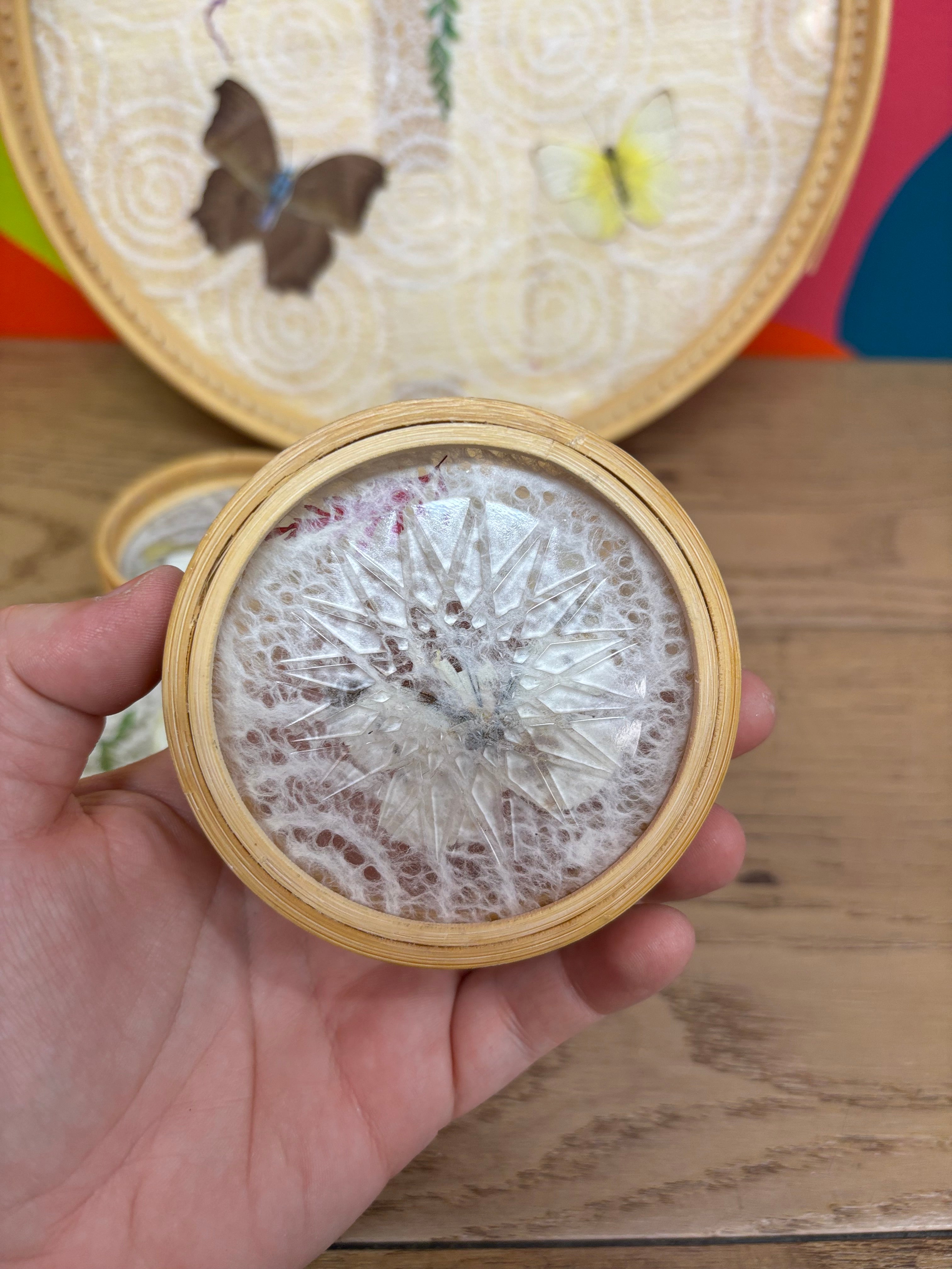 Pressed Butterfly Tray & Coasters